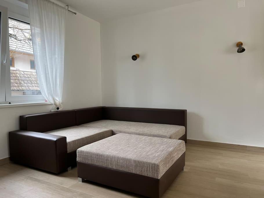 Apartma Gojsa view 2