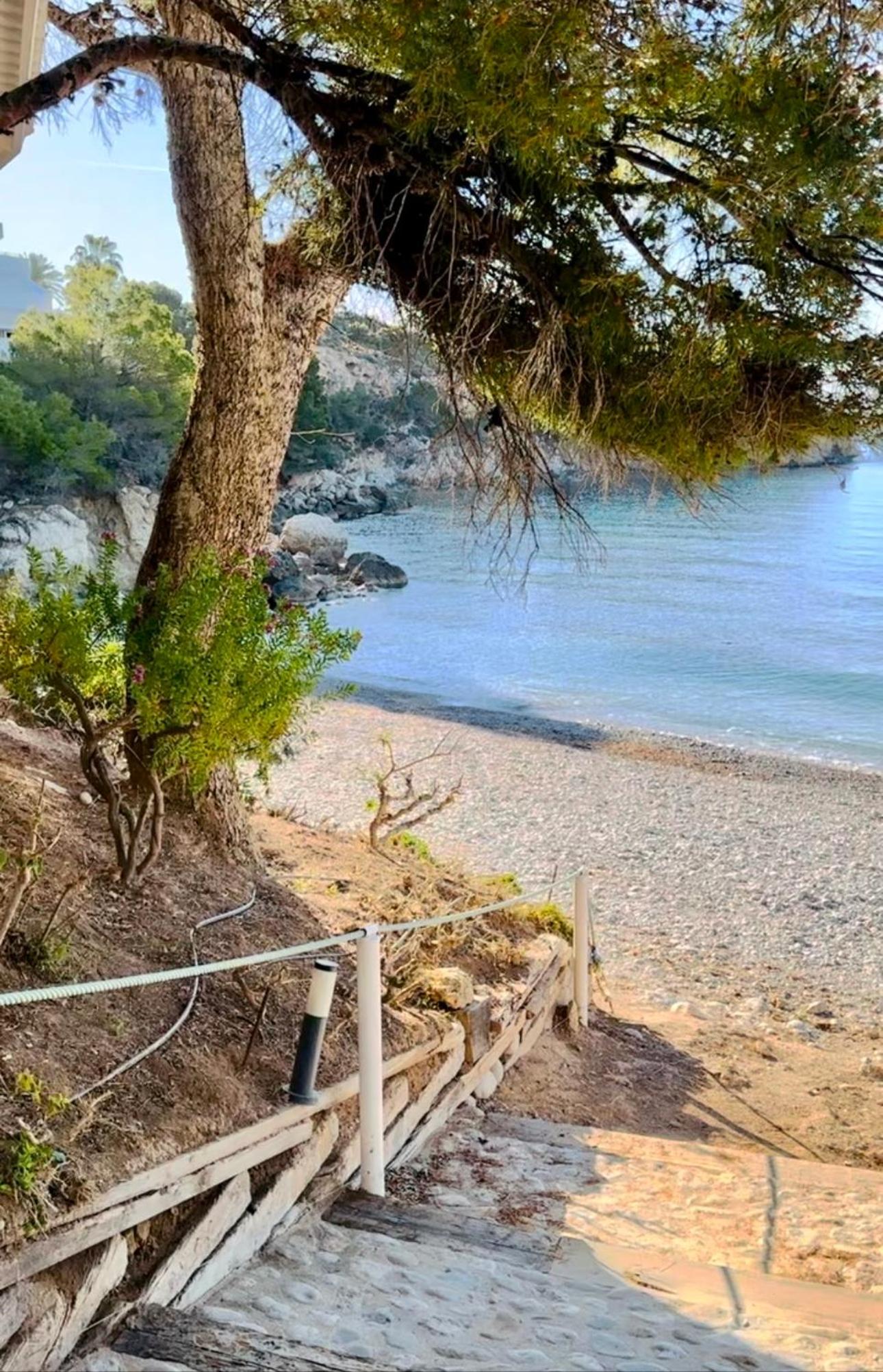 Can Luc Altea photo 2