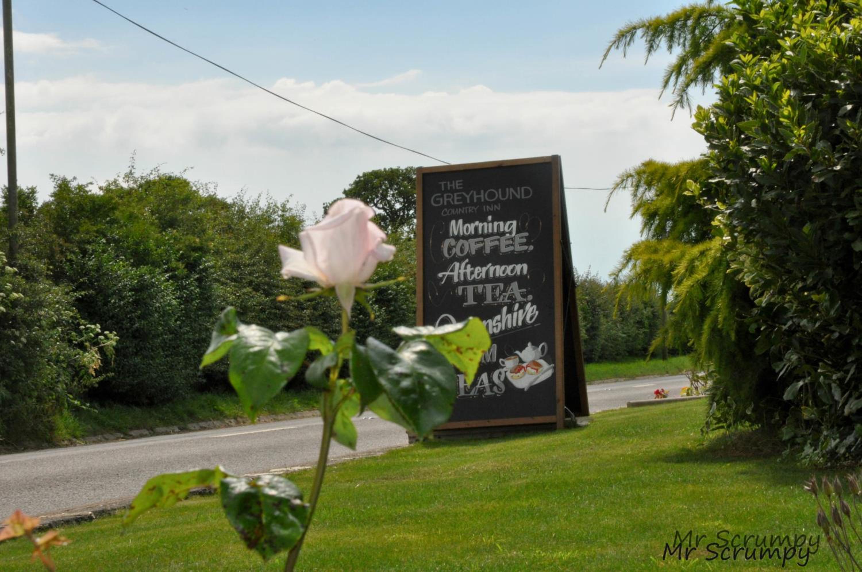 Greyhound Country Inn