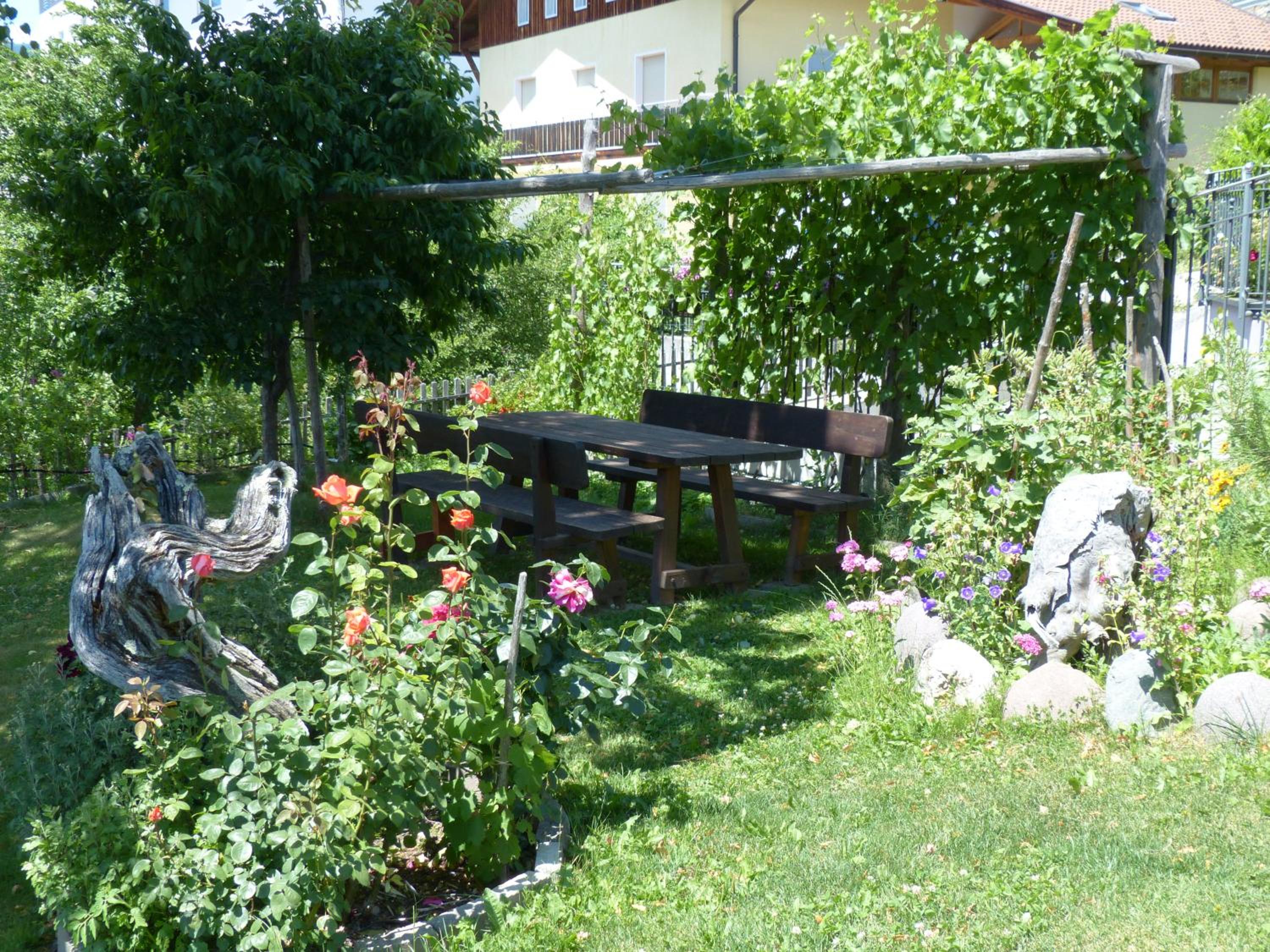 Photo 21