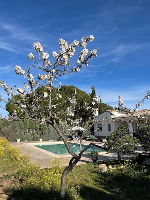 Casa Galiana.