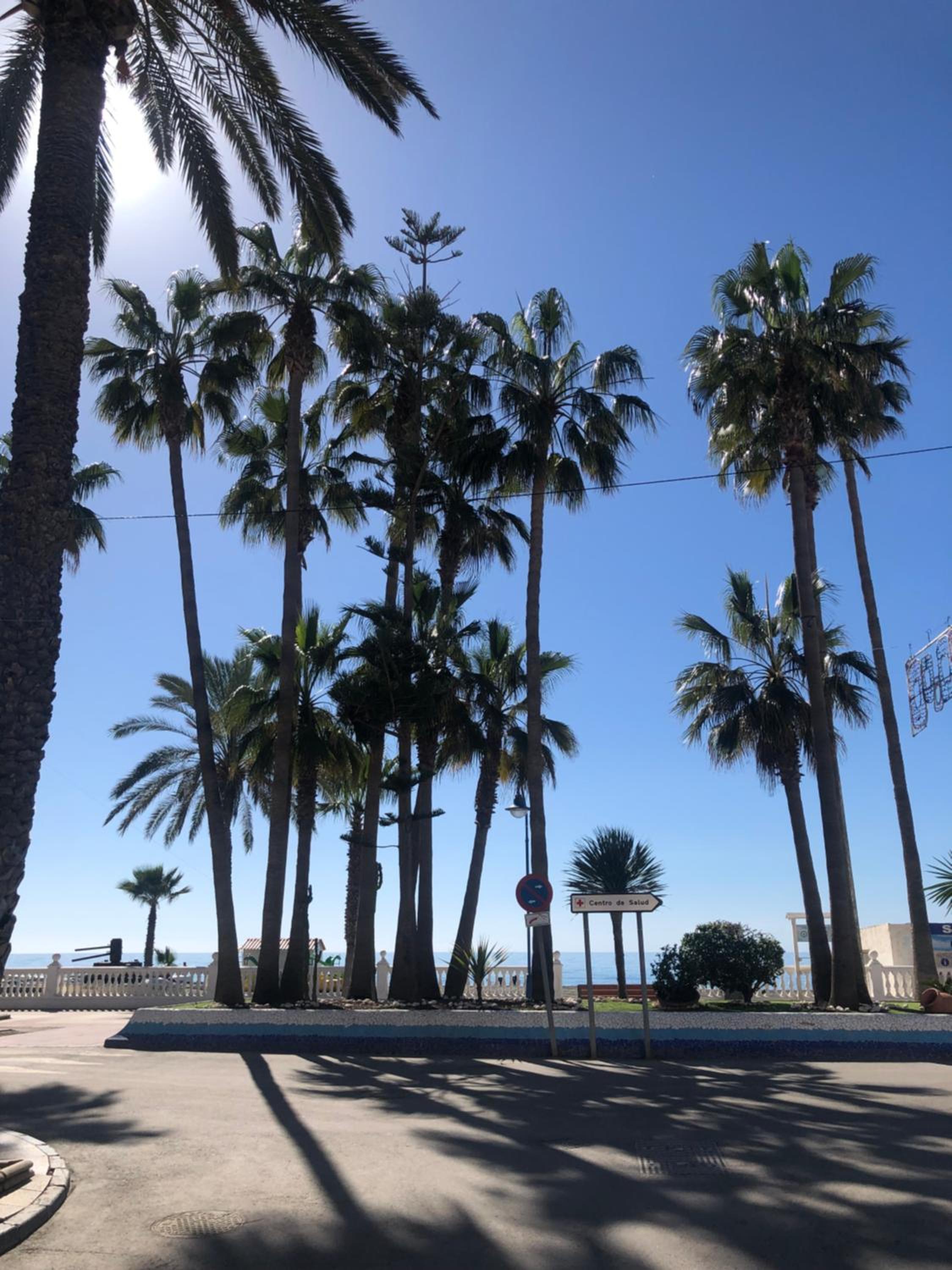 Apartamento Almanzor II