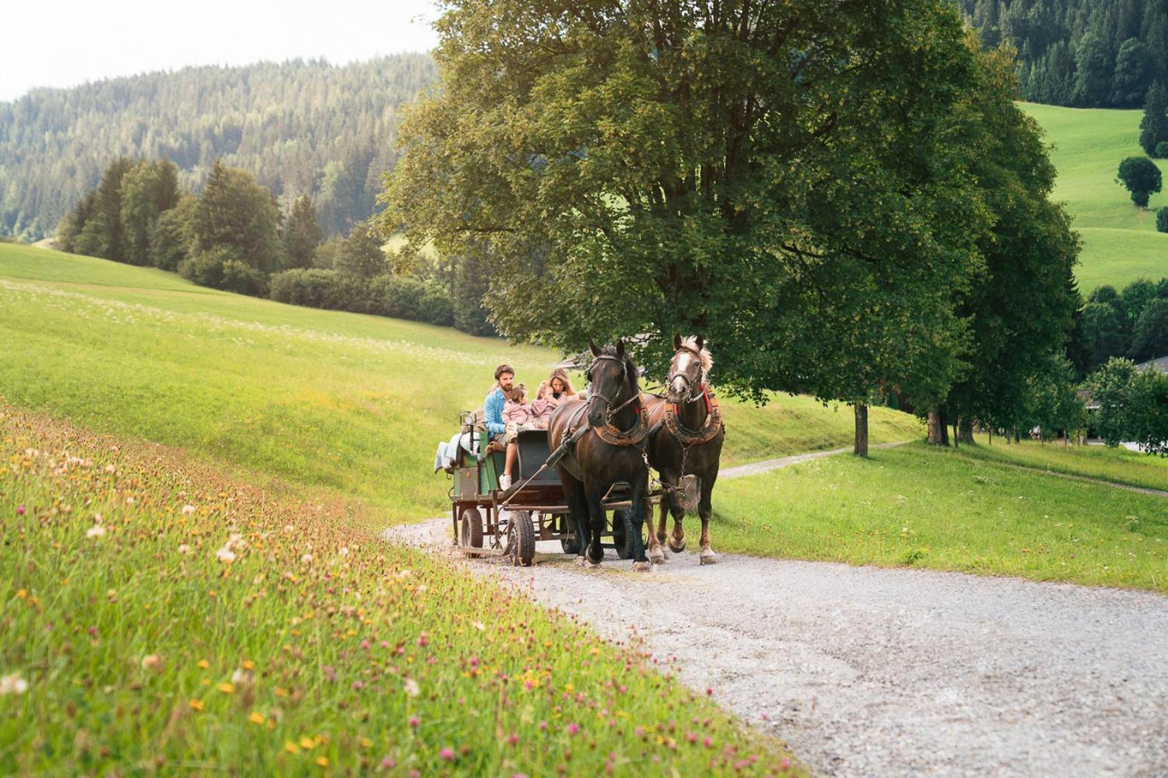 Das Hopfgarten Aparthotel