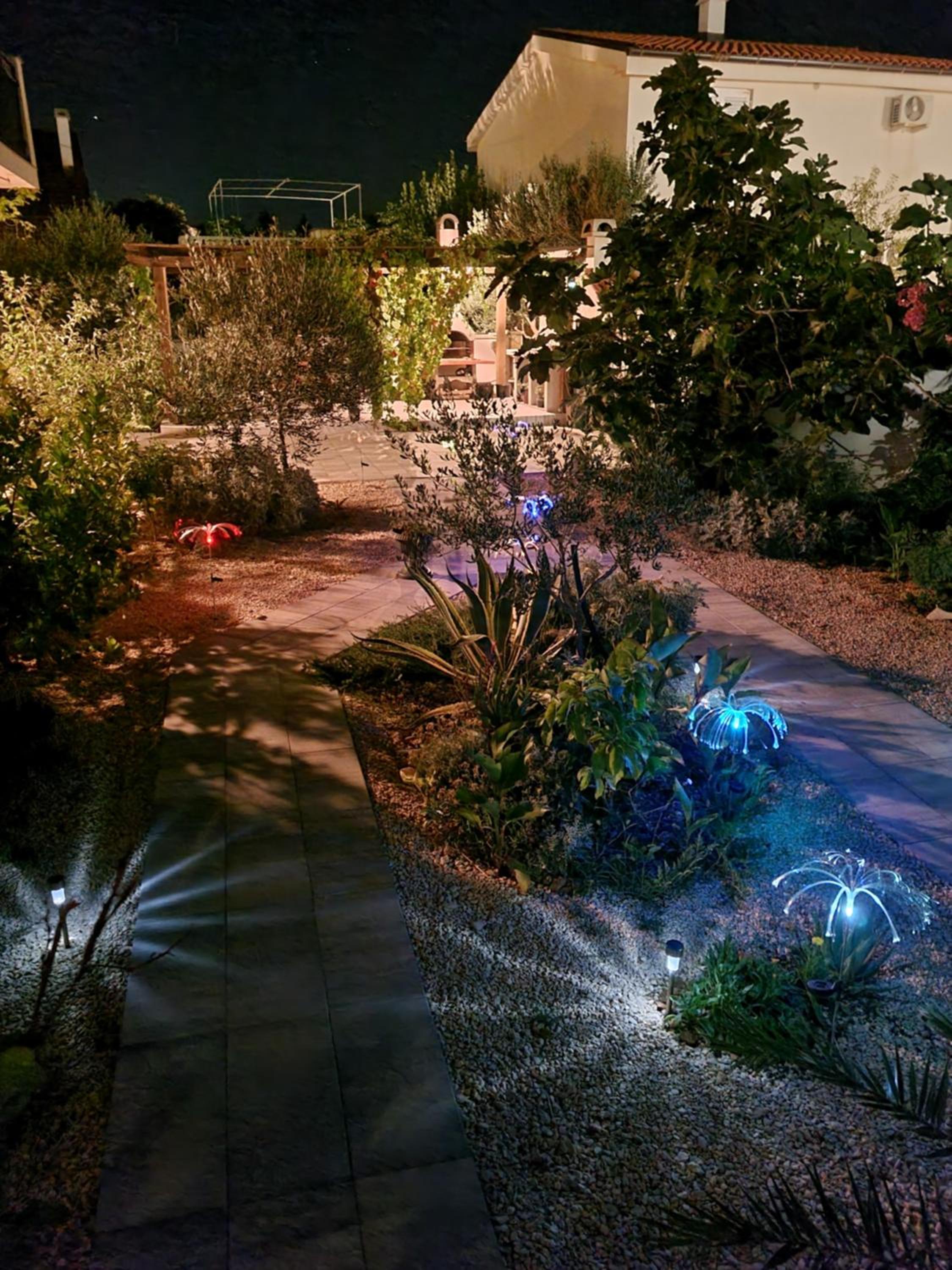Photo 48