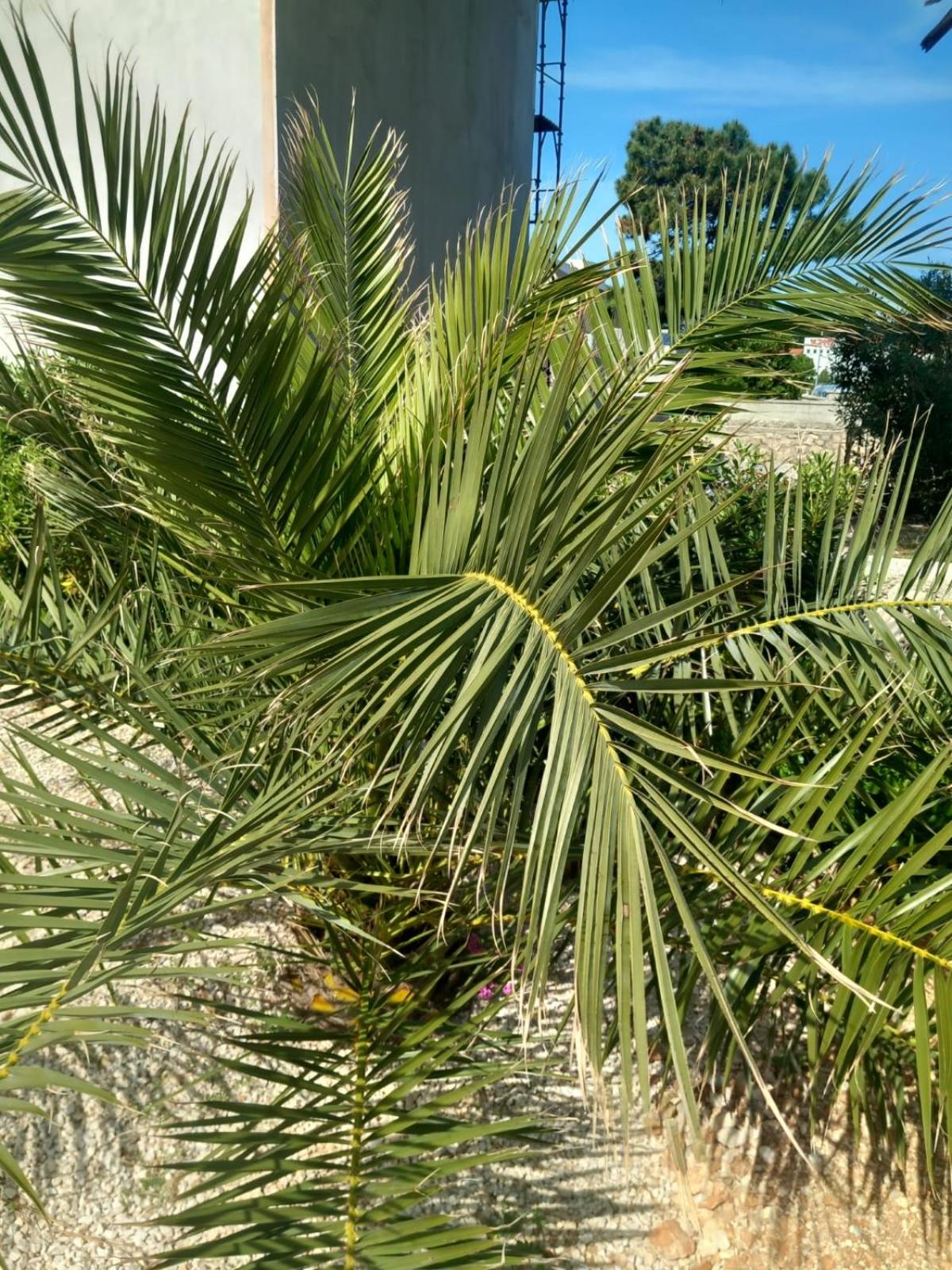 Photo 49