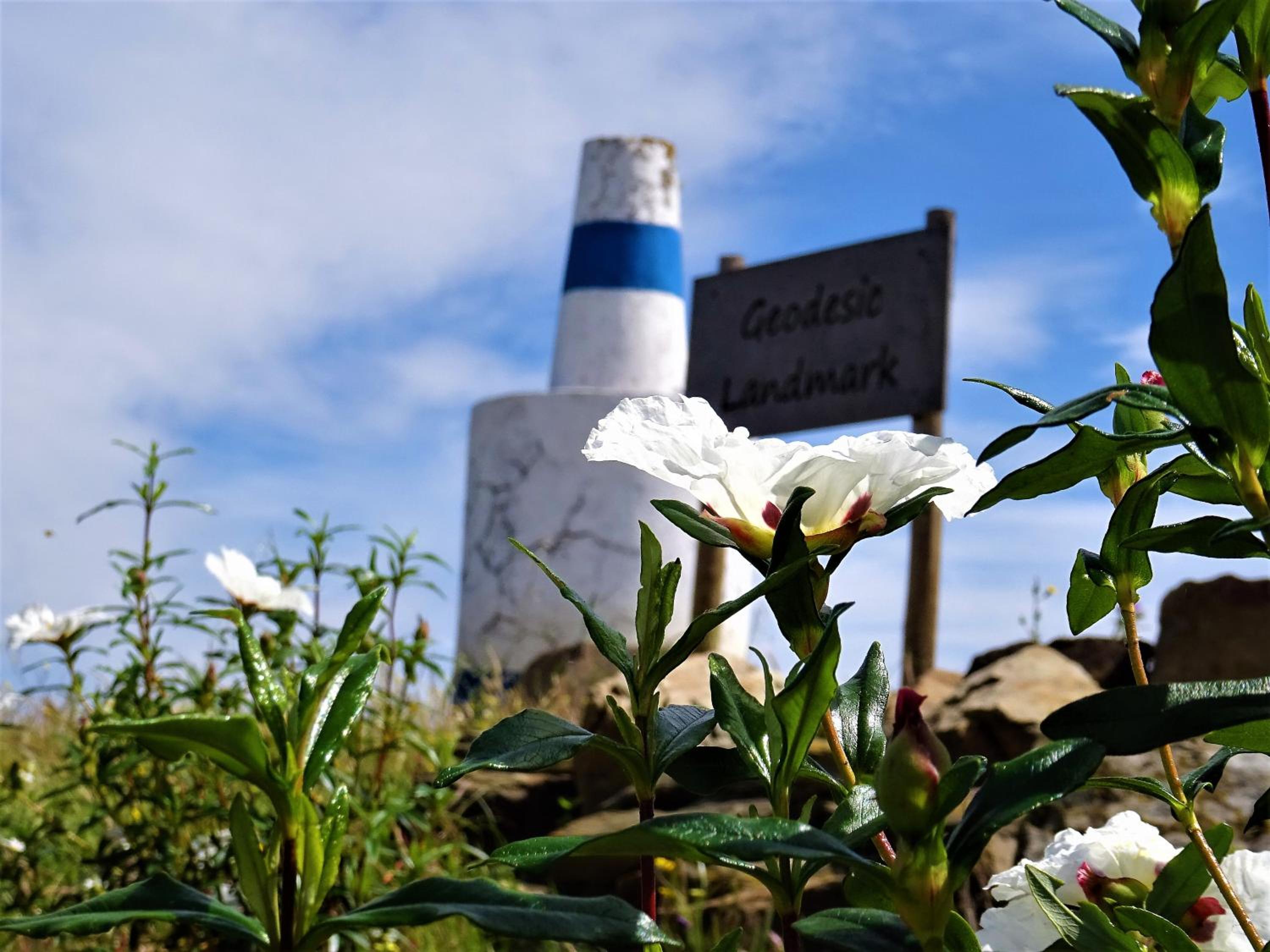 Monte do Alento - Castro da Cola