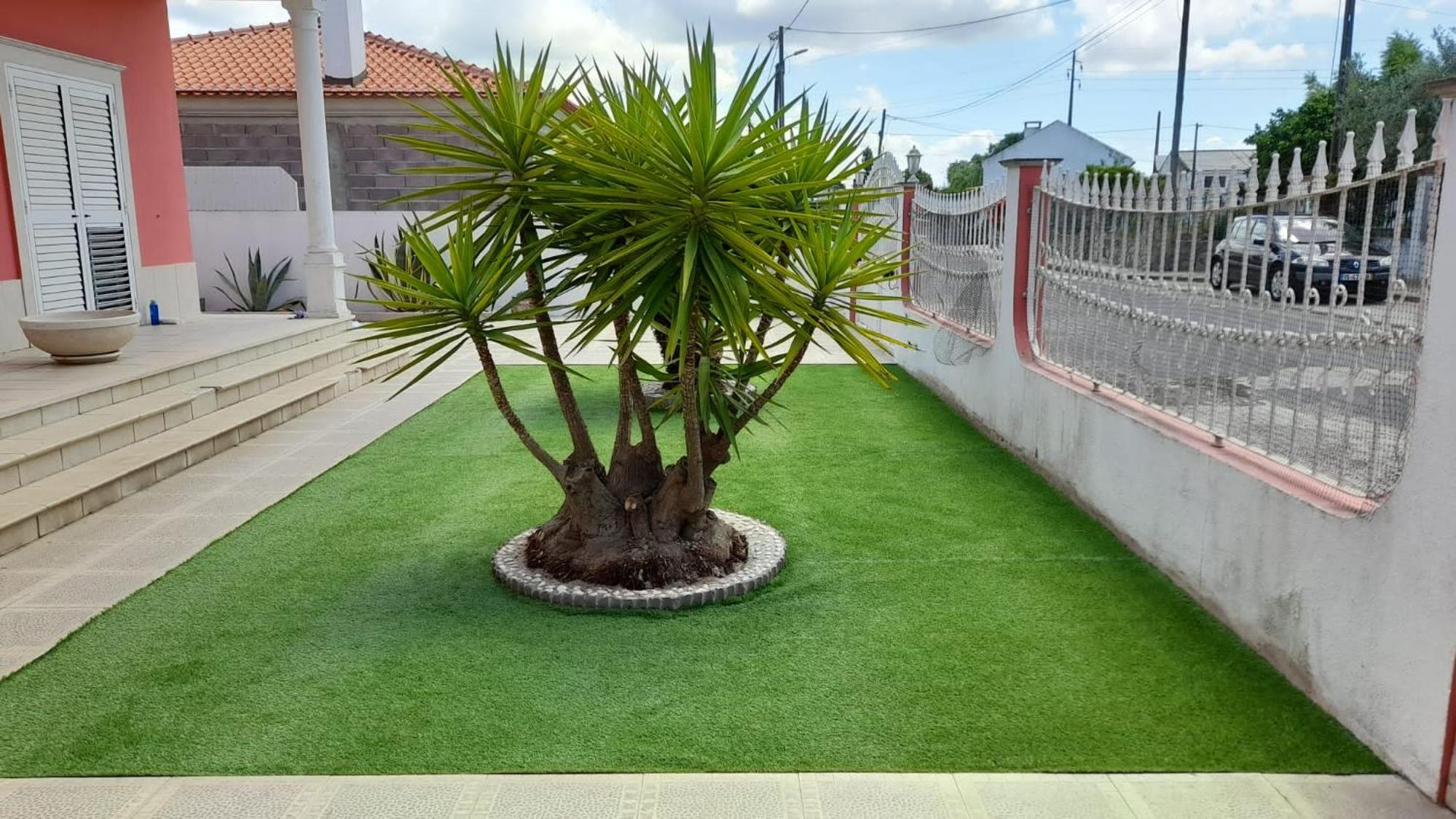 Barrio Latino view 5