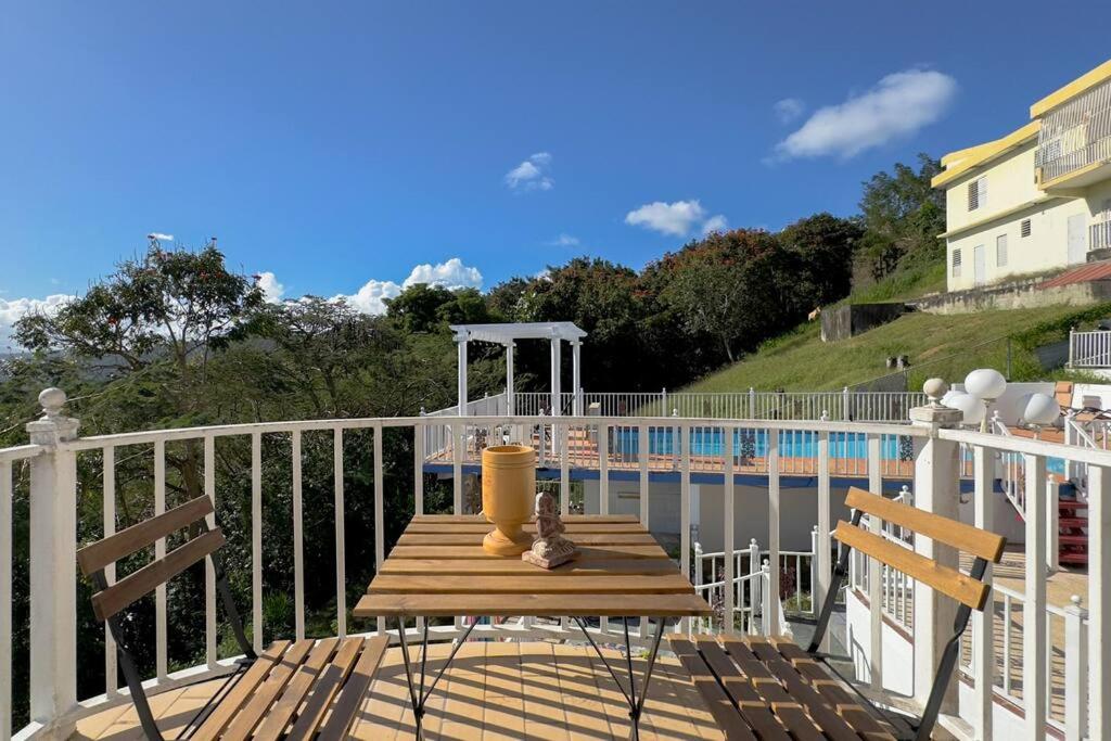 Humacao Villa - 8BR, Pool, Palmas, Ocean Views view 5