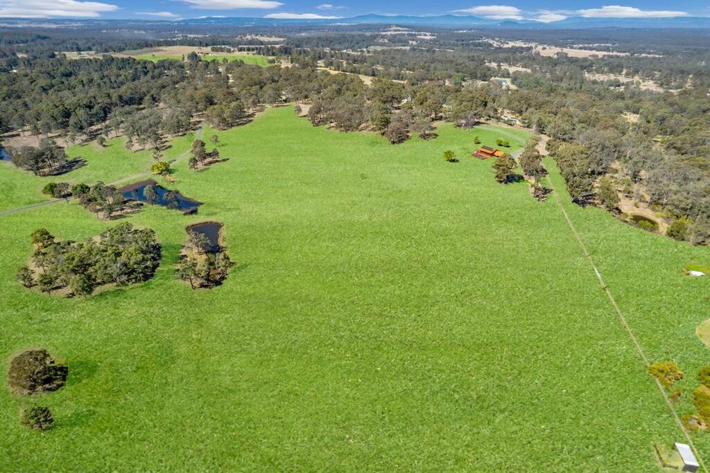 Orange Cottage at Lovedale