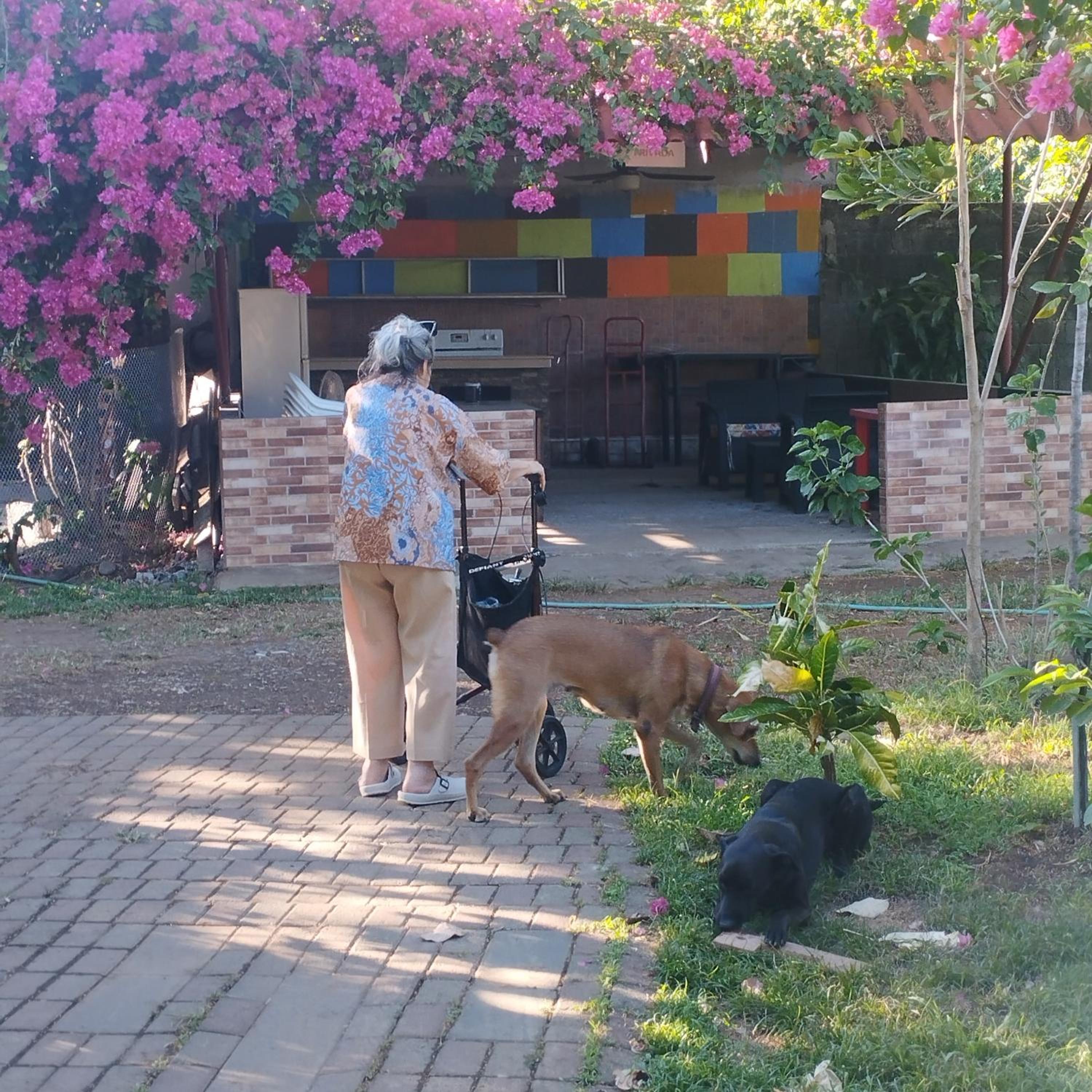 Photo 22