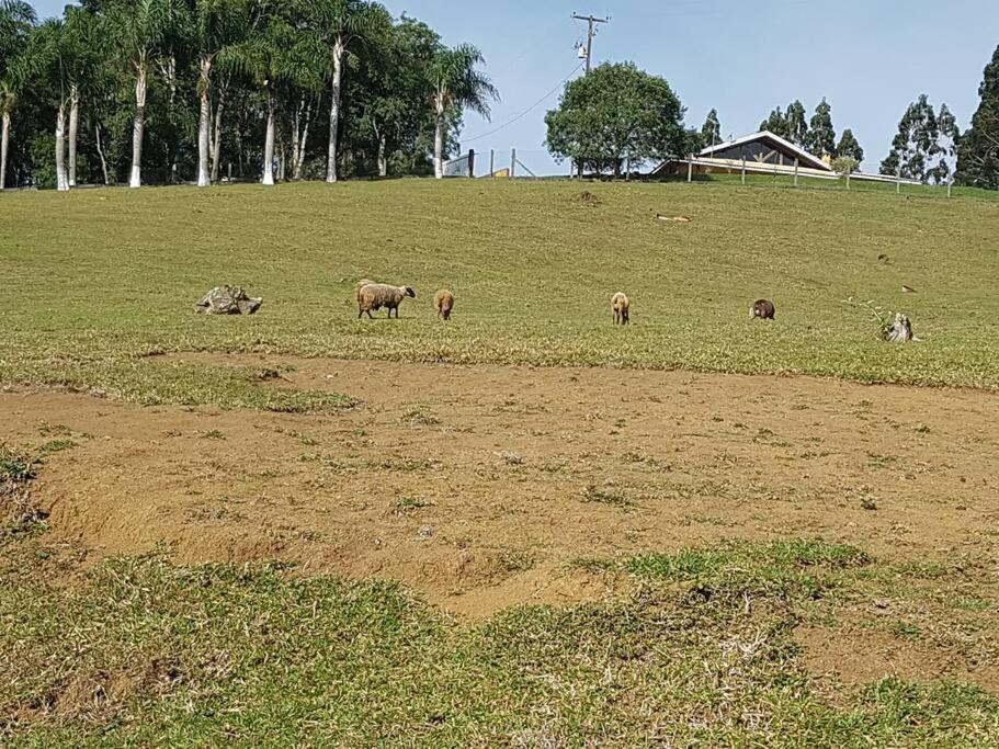 Casa de campo perfeita para suas férias!