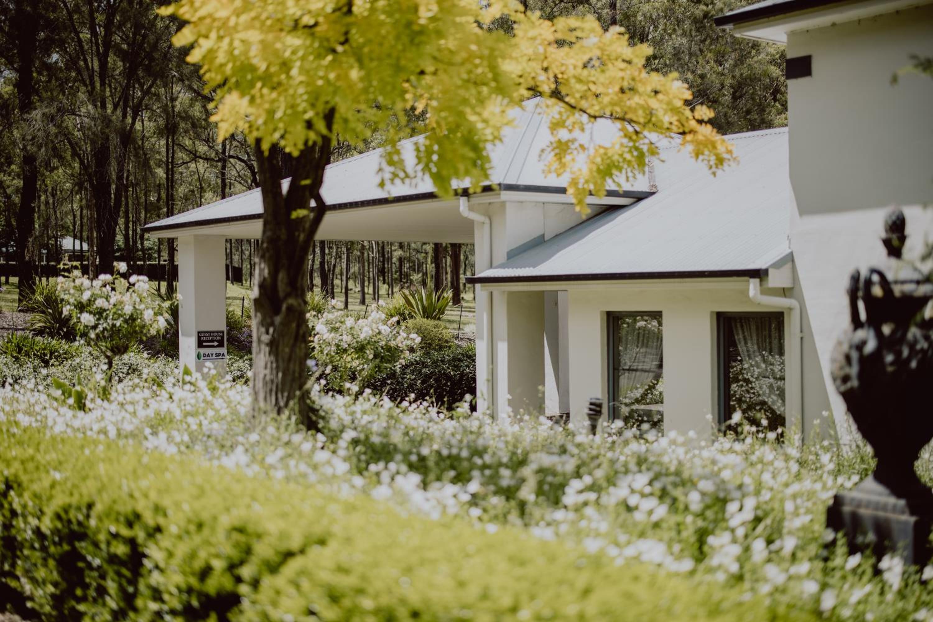 Hotel Nu Leaf Retreat - Image 1