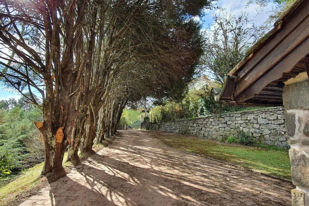 Chalé aconchegante na Vila Inglesa