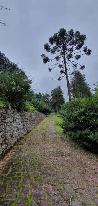 Chalé aconchegante na Vila Inglesa