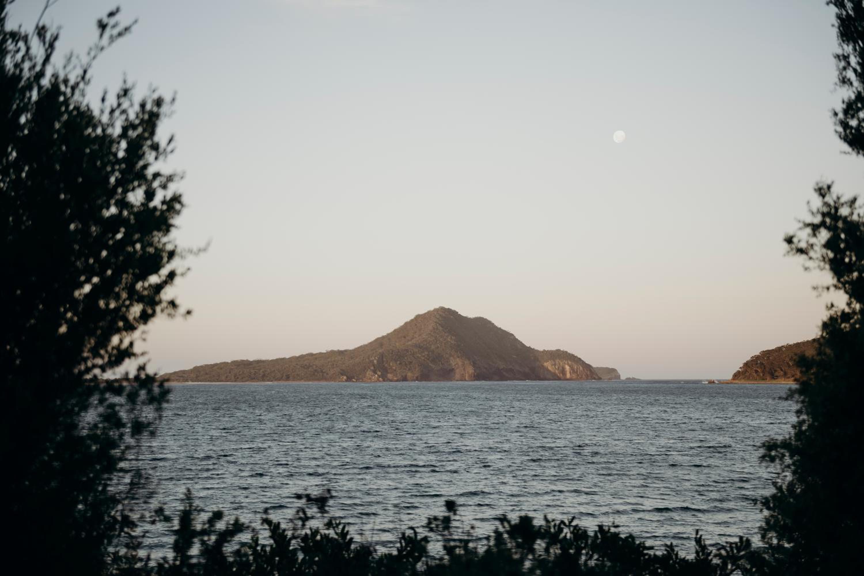 Salt at Shoal Bay