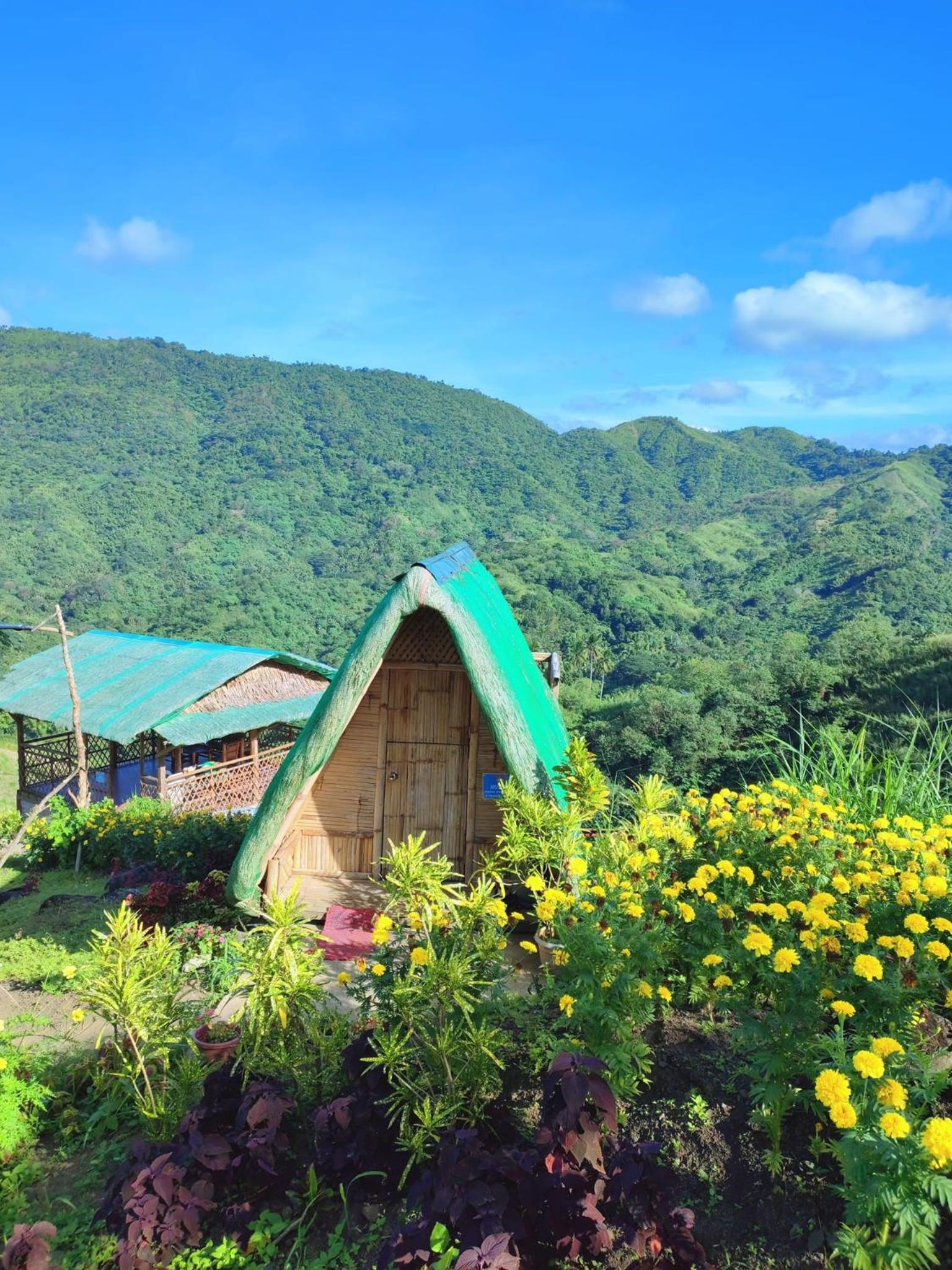 MIRA AgroPark view 2