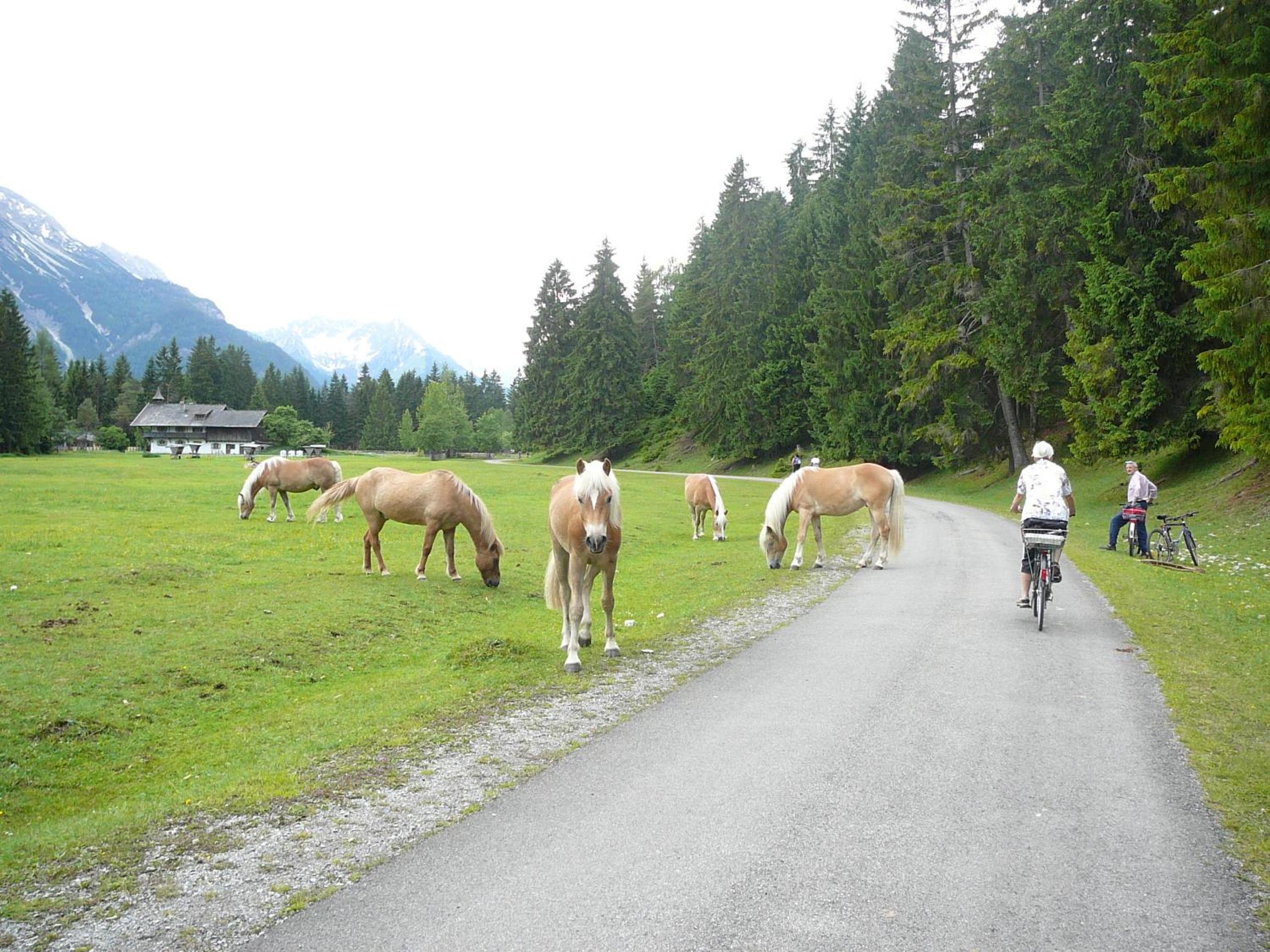 Photo 49