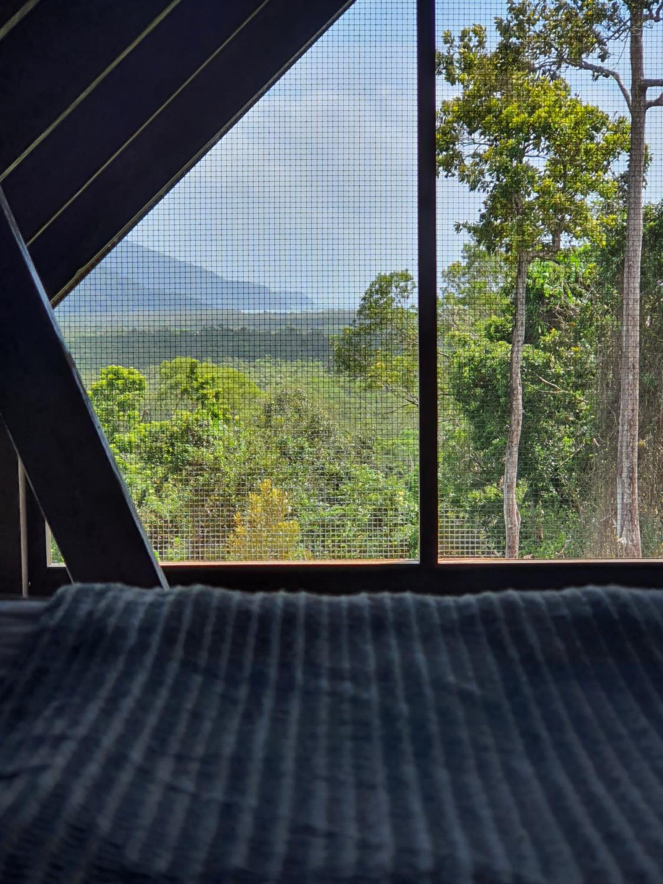 Daintree Holiday Homes - La Vista