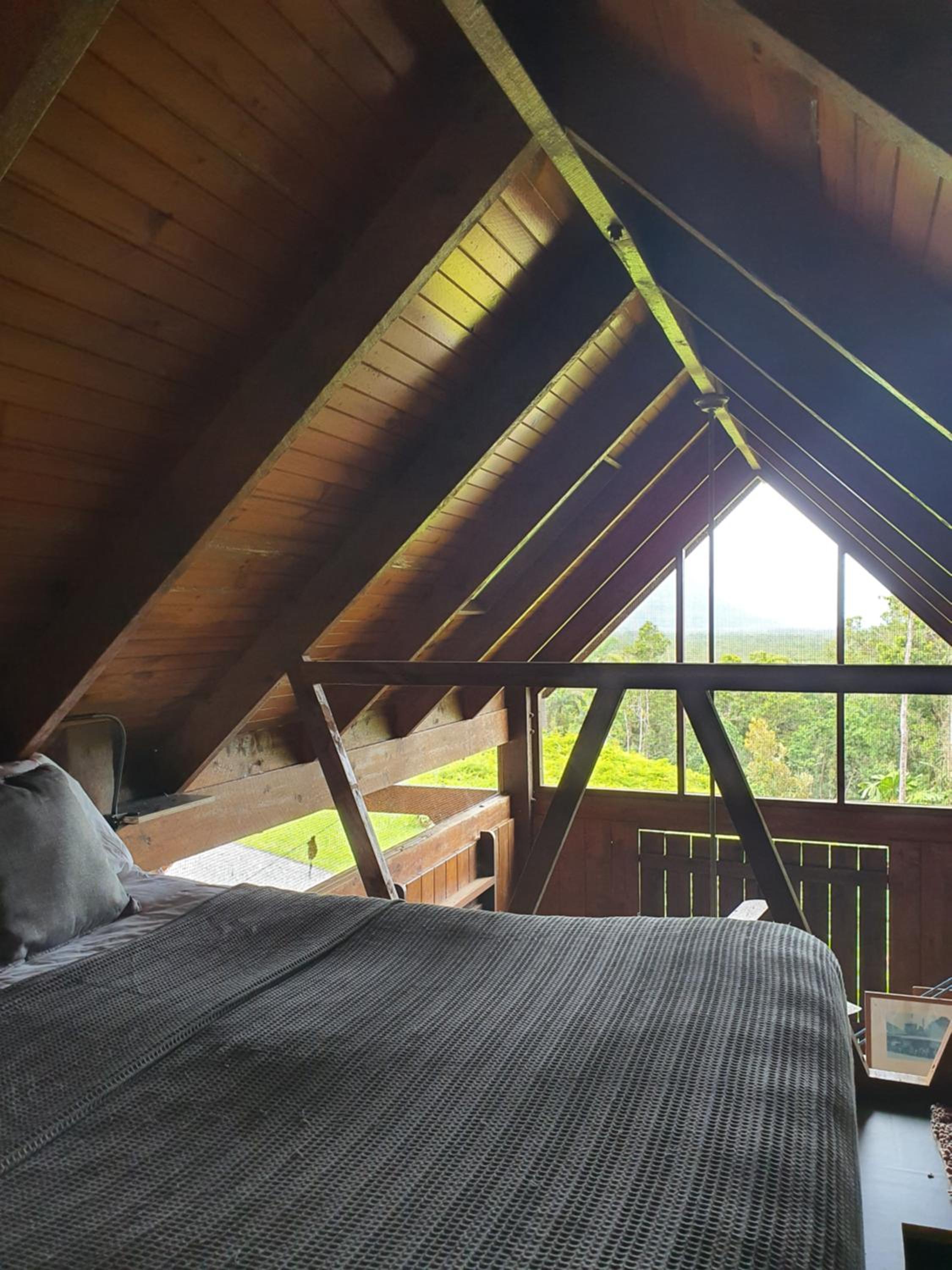 Daintree Holiday Homes - La Vista