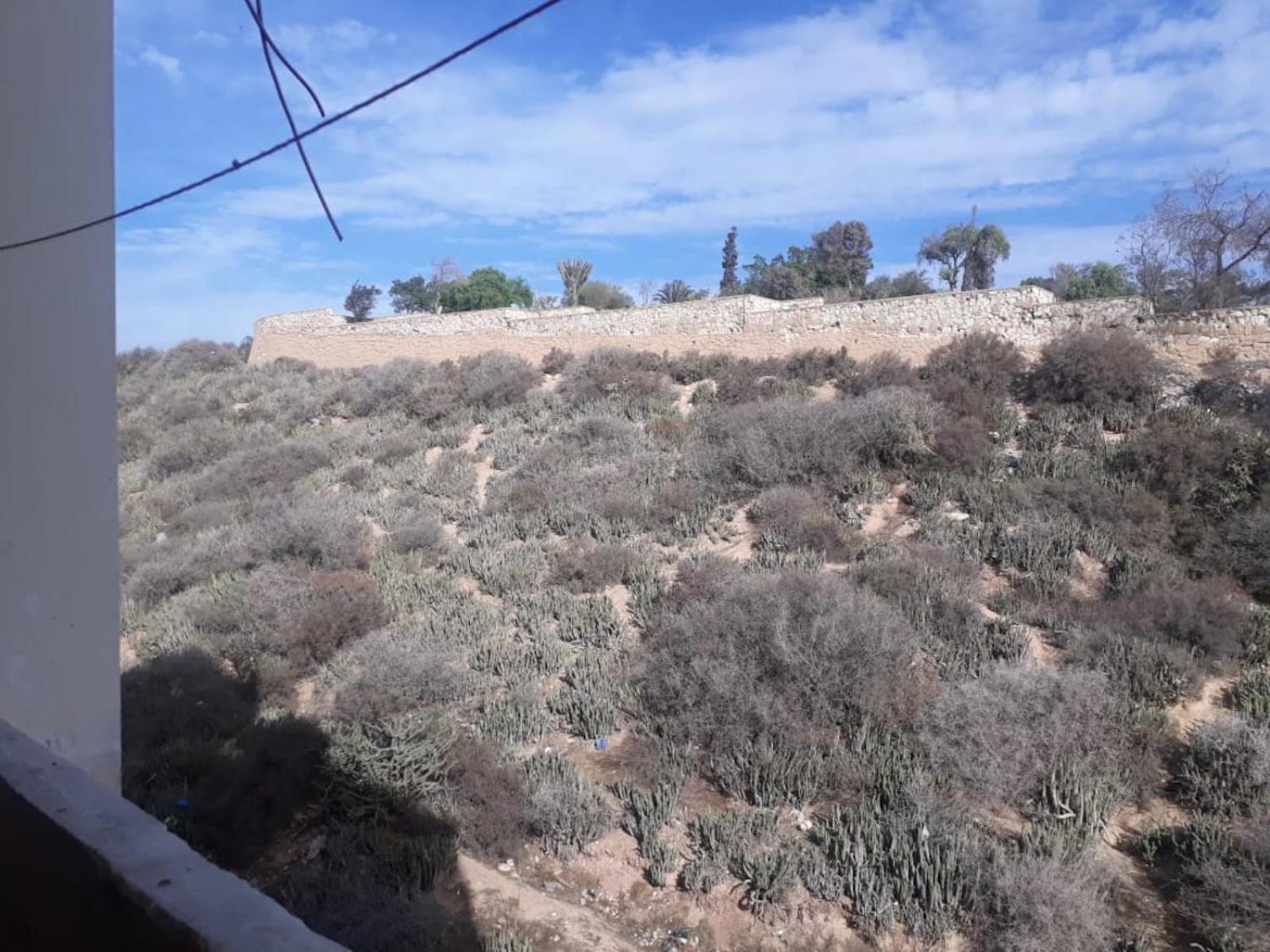 Photo 51