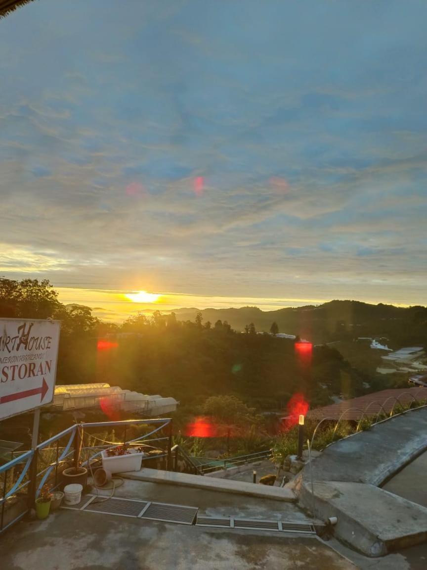 Cameron Highlands Blueberry Earth House