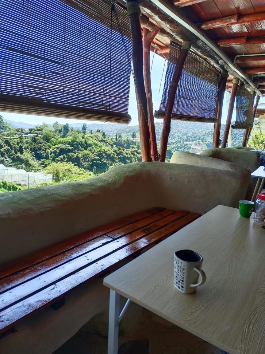 Cameron Highlands Blueberry Earth House