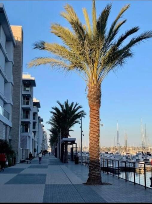 The Blossom-Modern 1BR Getaway in Marina Walk to Water&Restaurants