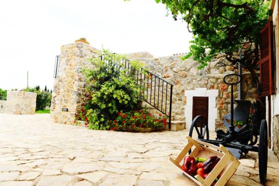 Holiday Home Finca Son Ramon