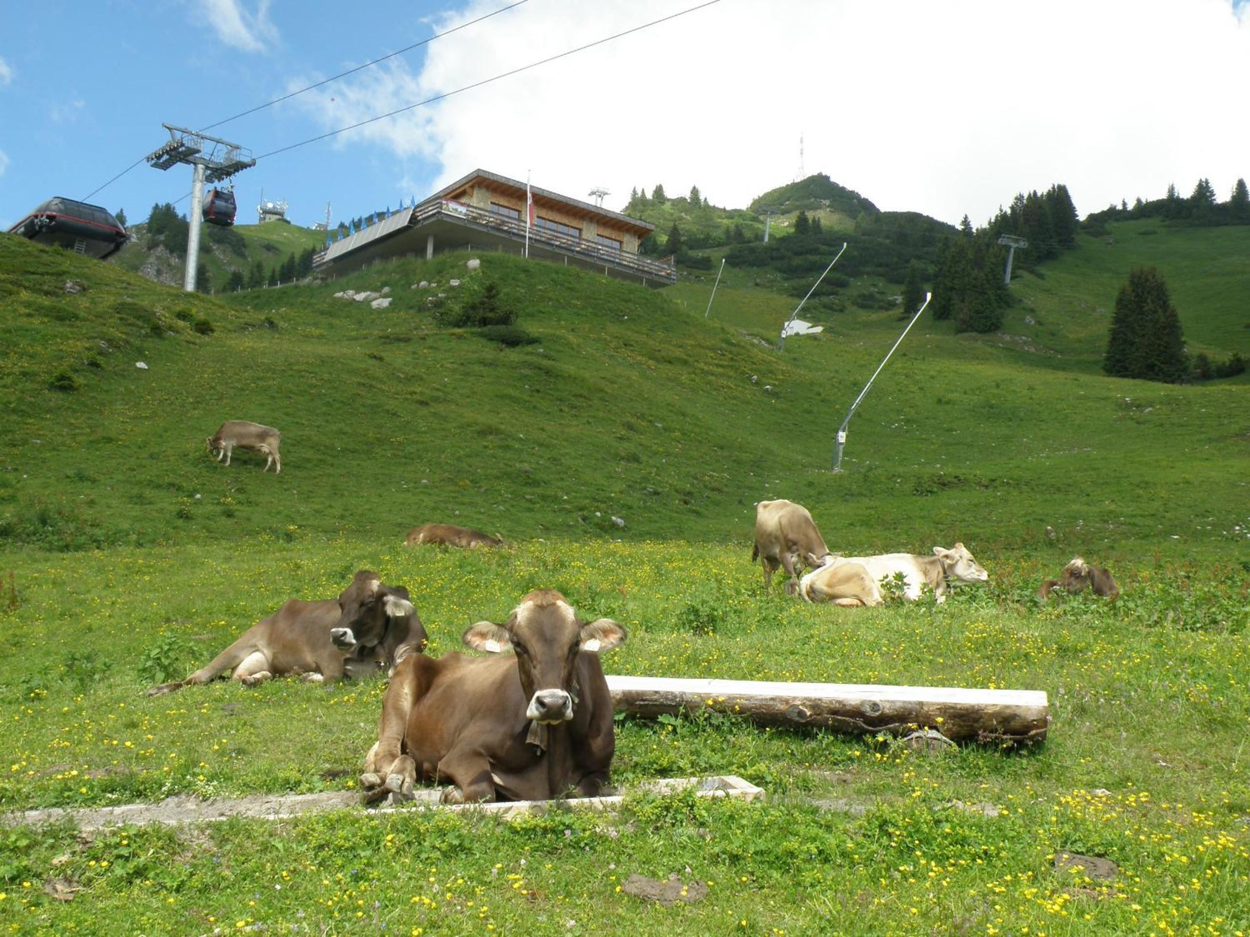 Photo 43