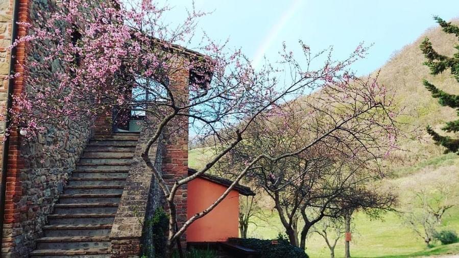 Agriturismo Paradiso41