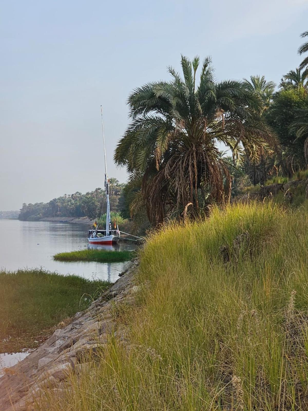 Felucca Sailing Boat Overnight Experience