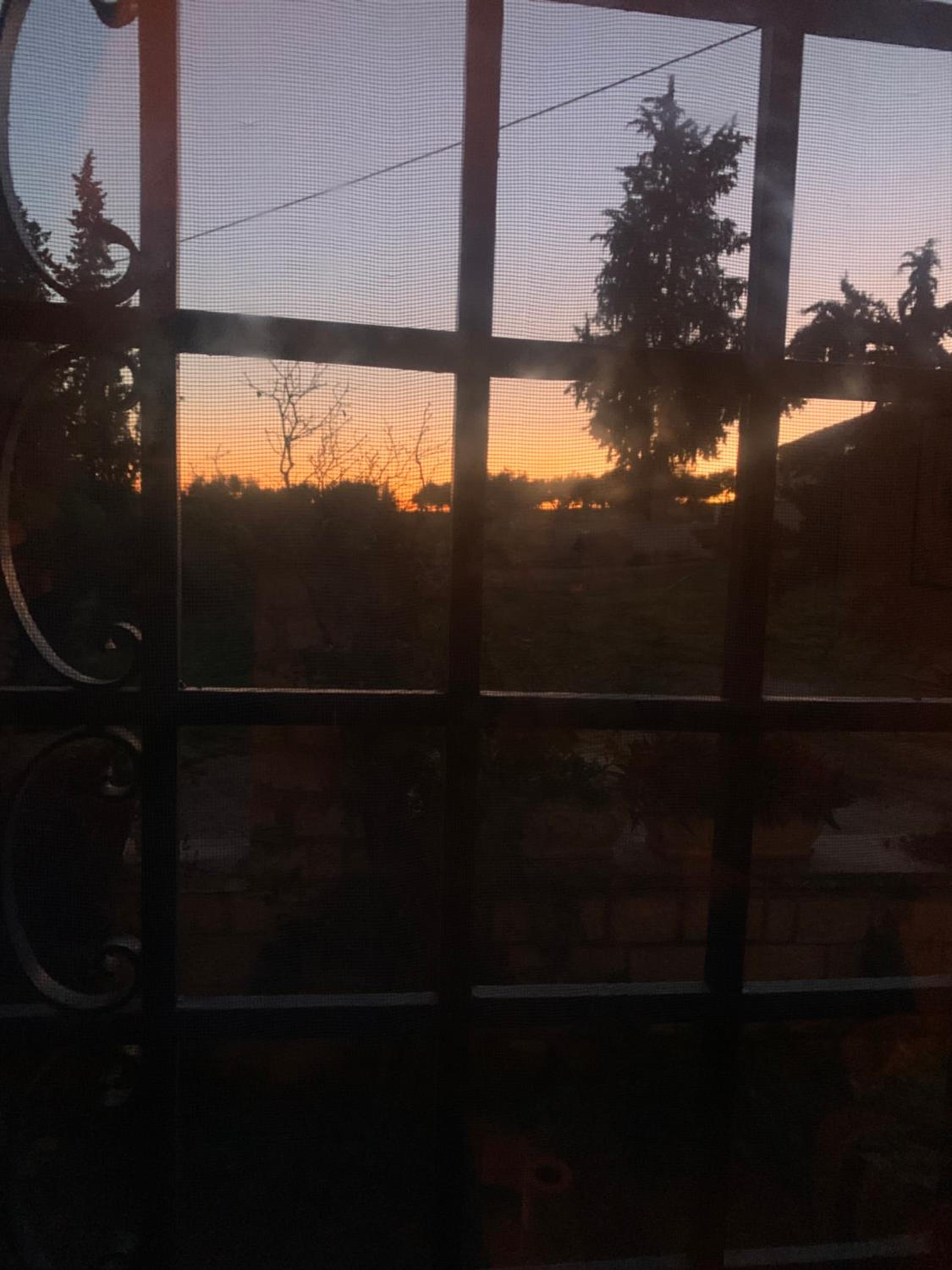 Photo 38