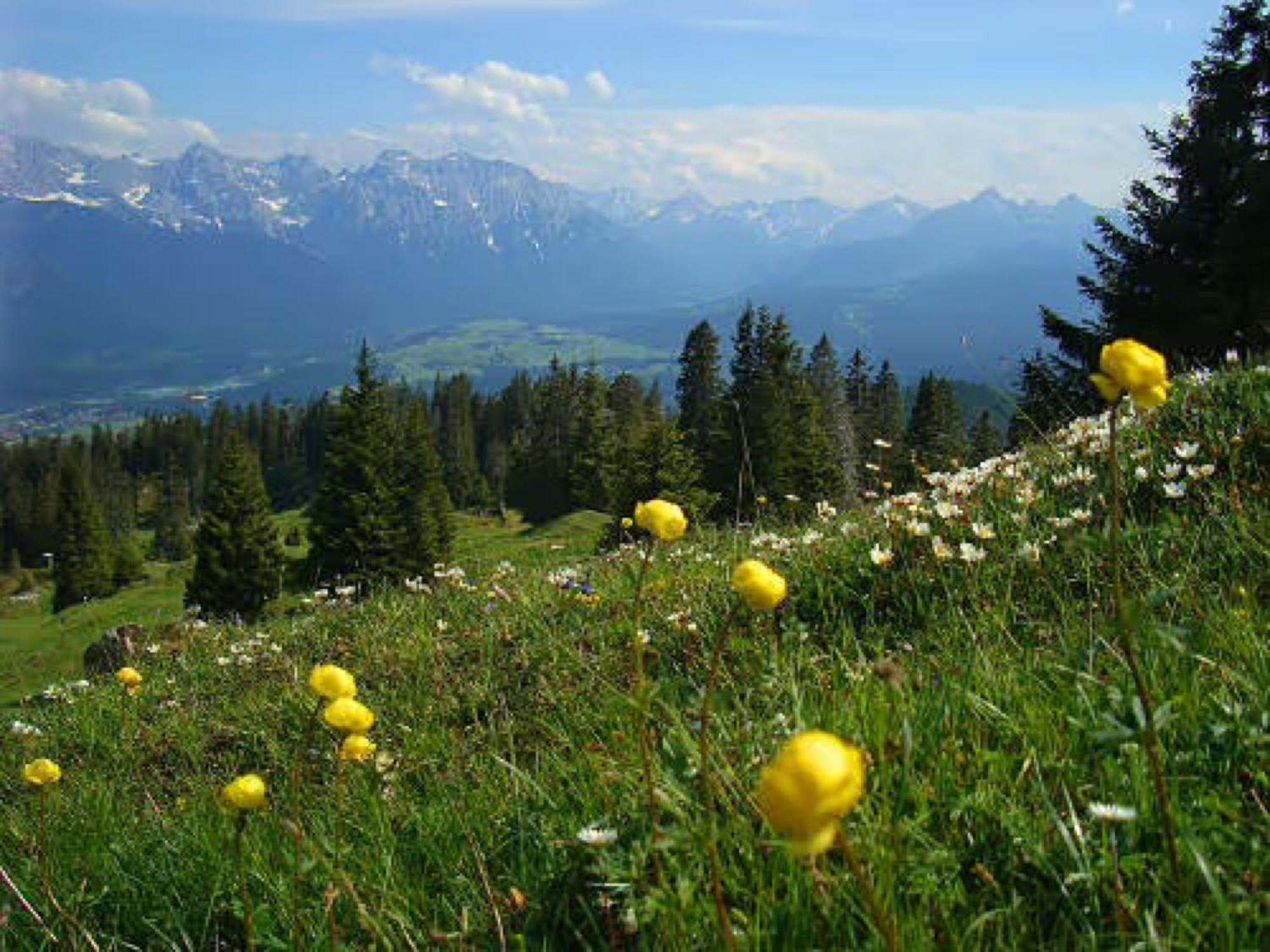 Gästehaus Christophorus Alpenglühn