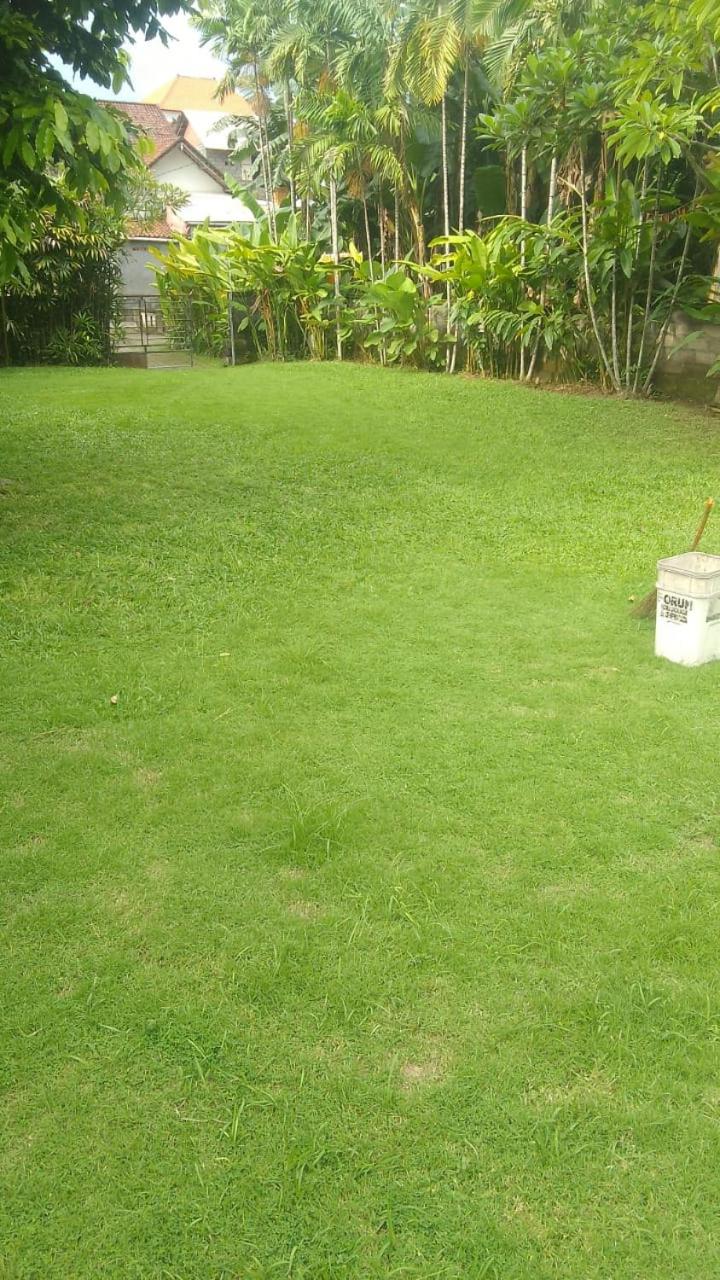 Photo 26
