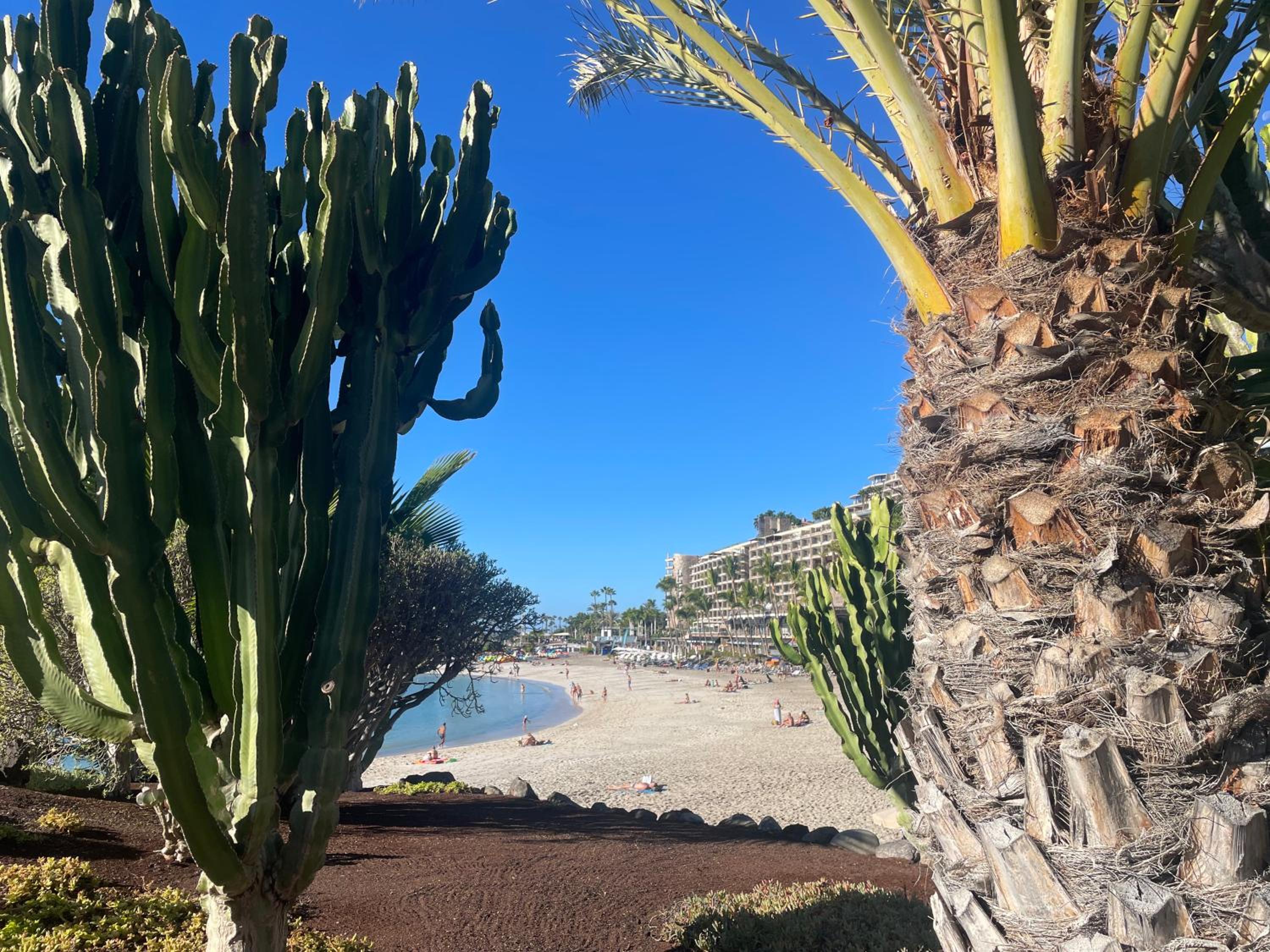 MONTAÑAMAR