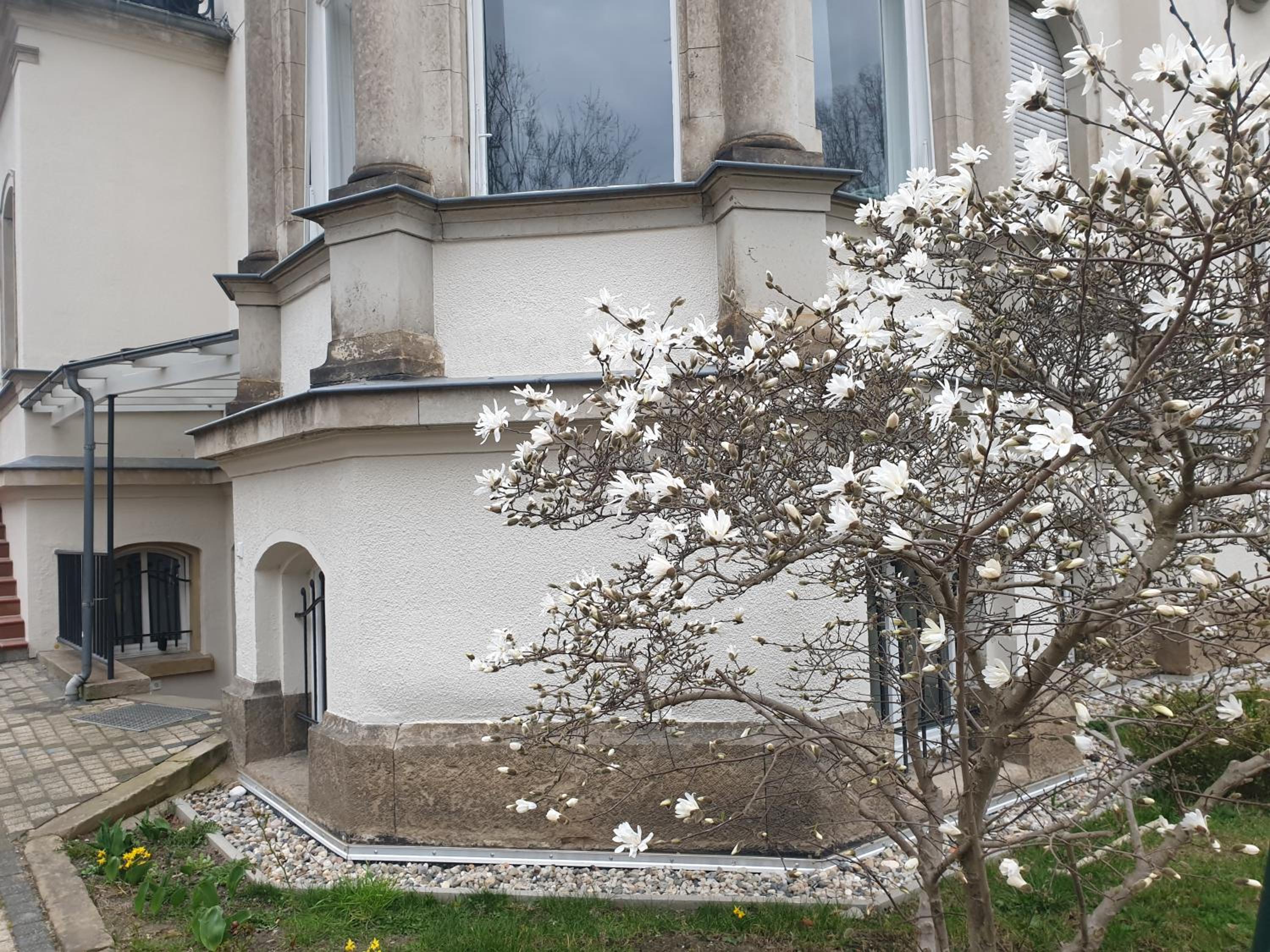 Wiener Palais am Großen Garten, Arbeitsplatz, Familie, 8 Pers, Smart-TV