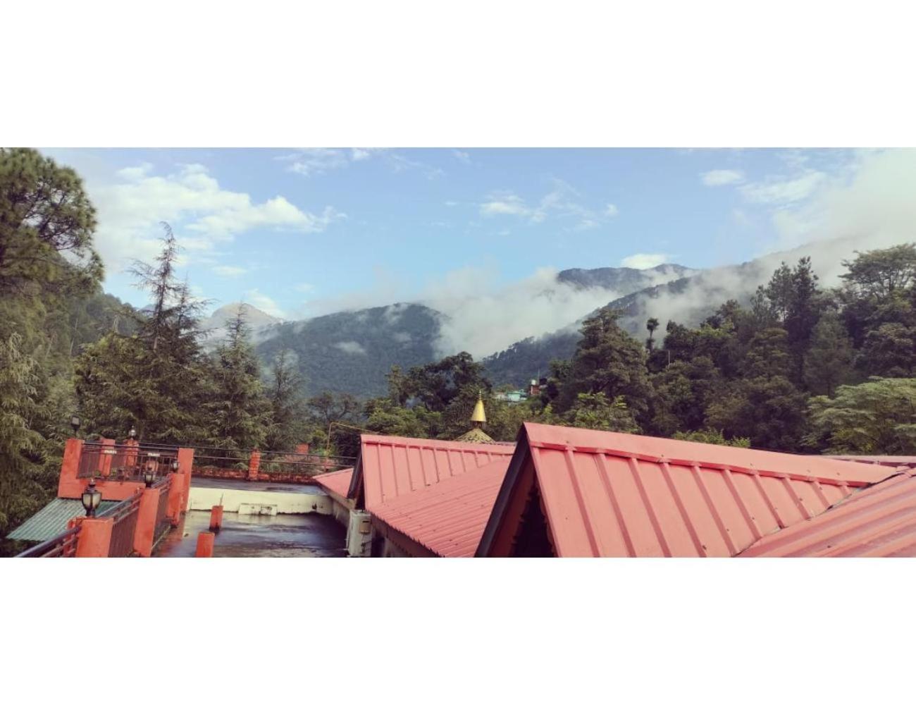 Photo 19