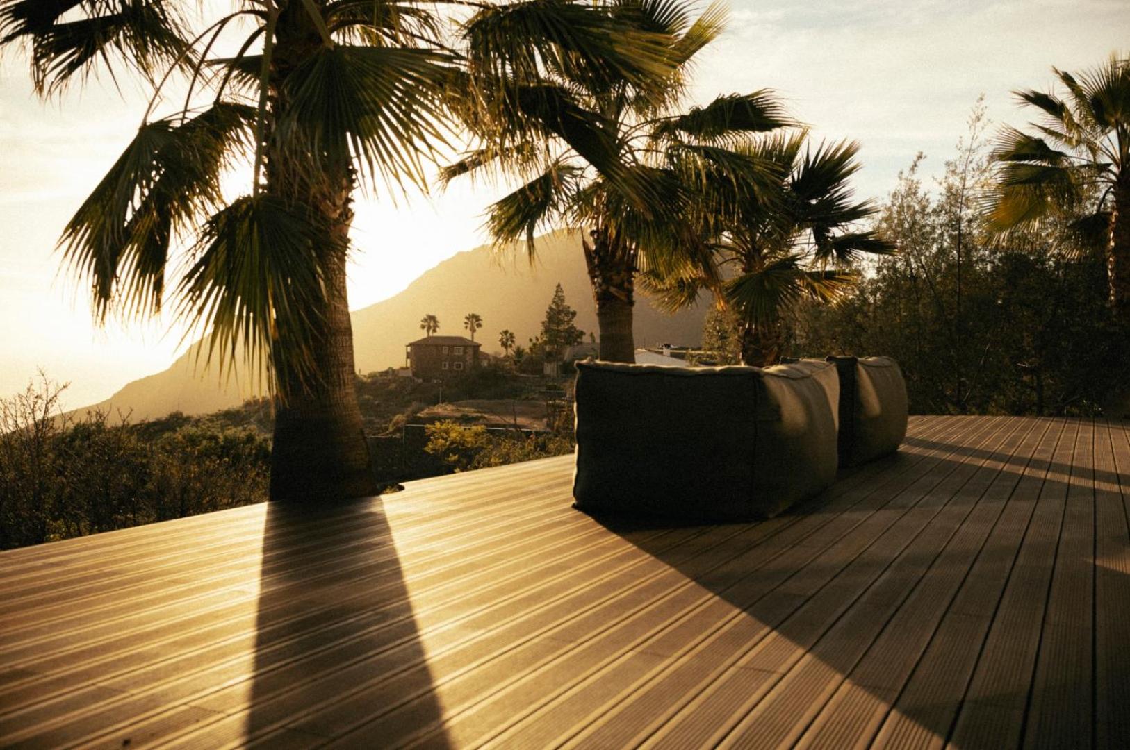 The Nest Tenerife