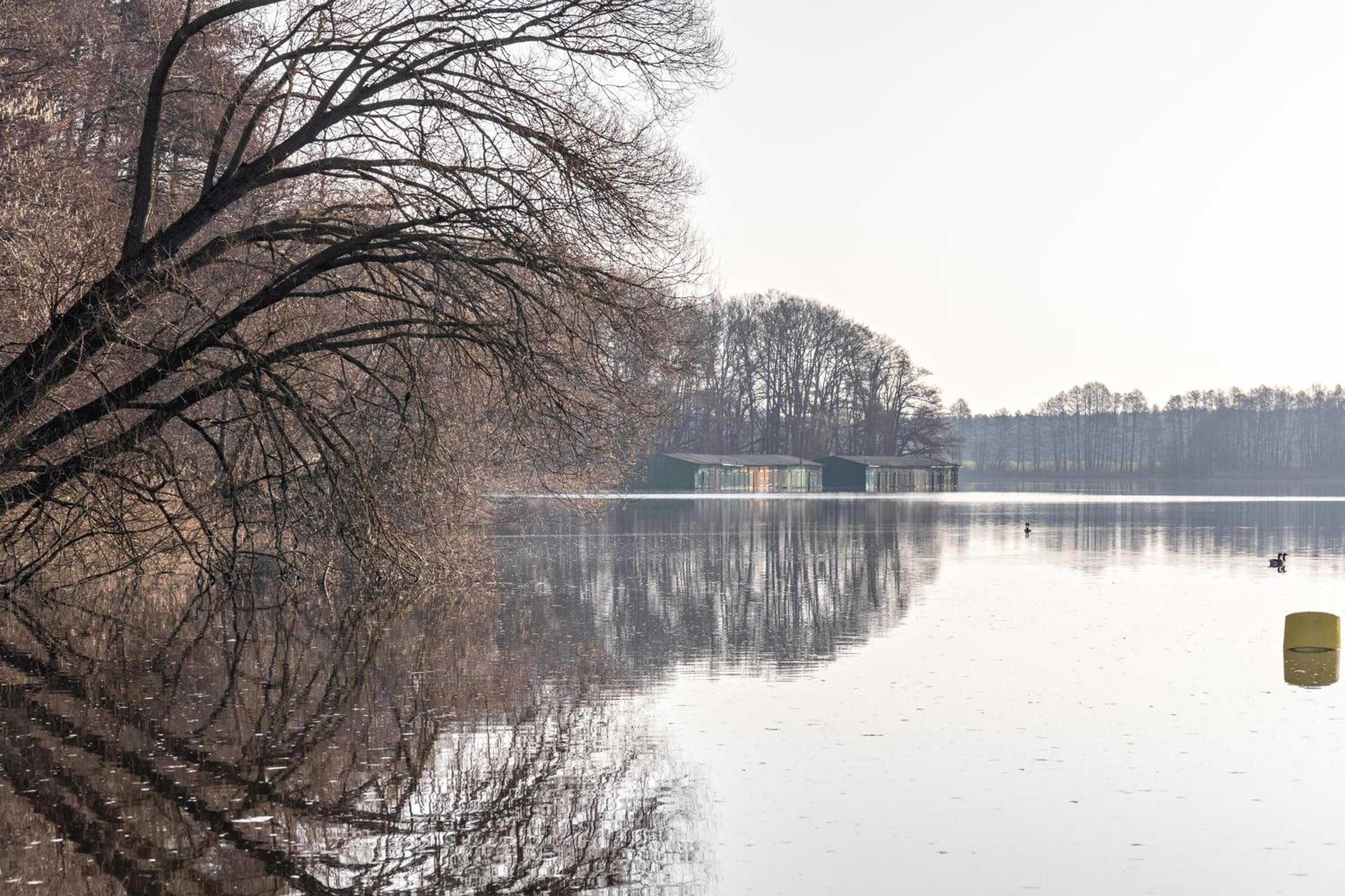 Müritzsee 4