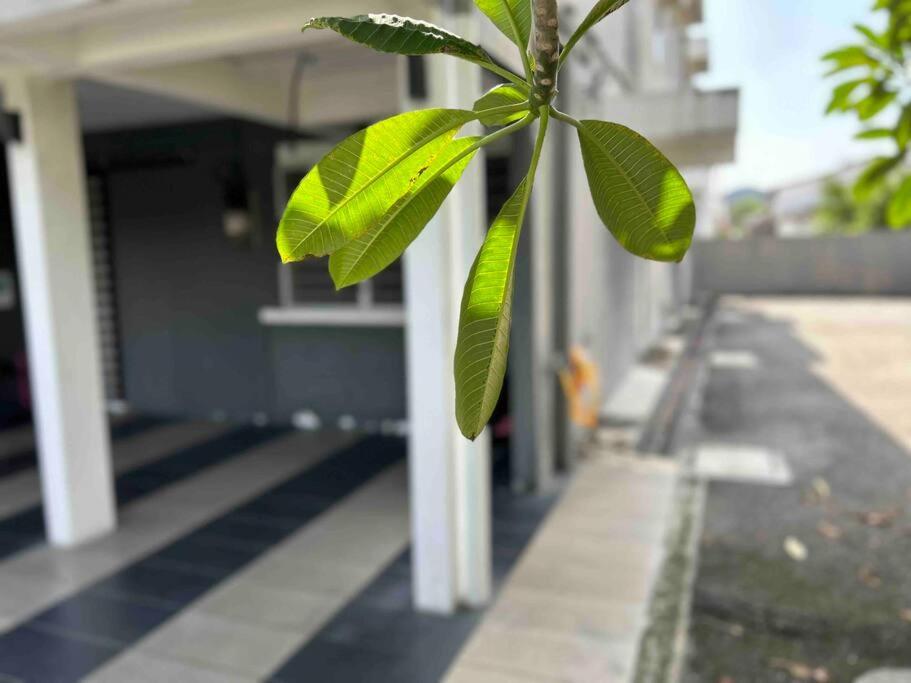 Comfortable Homestay Ipoh 6R6B 9pax SY30 photo 5