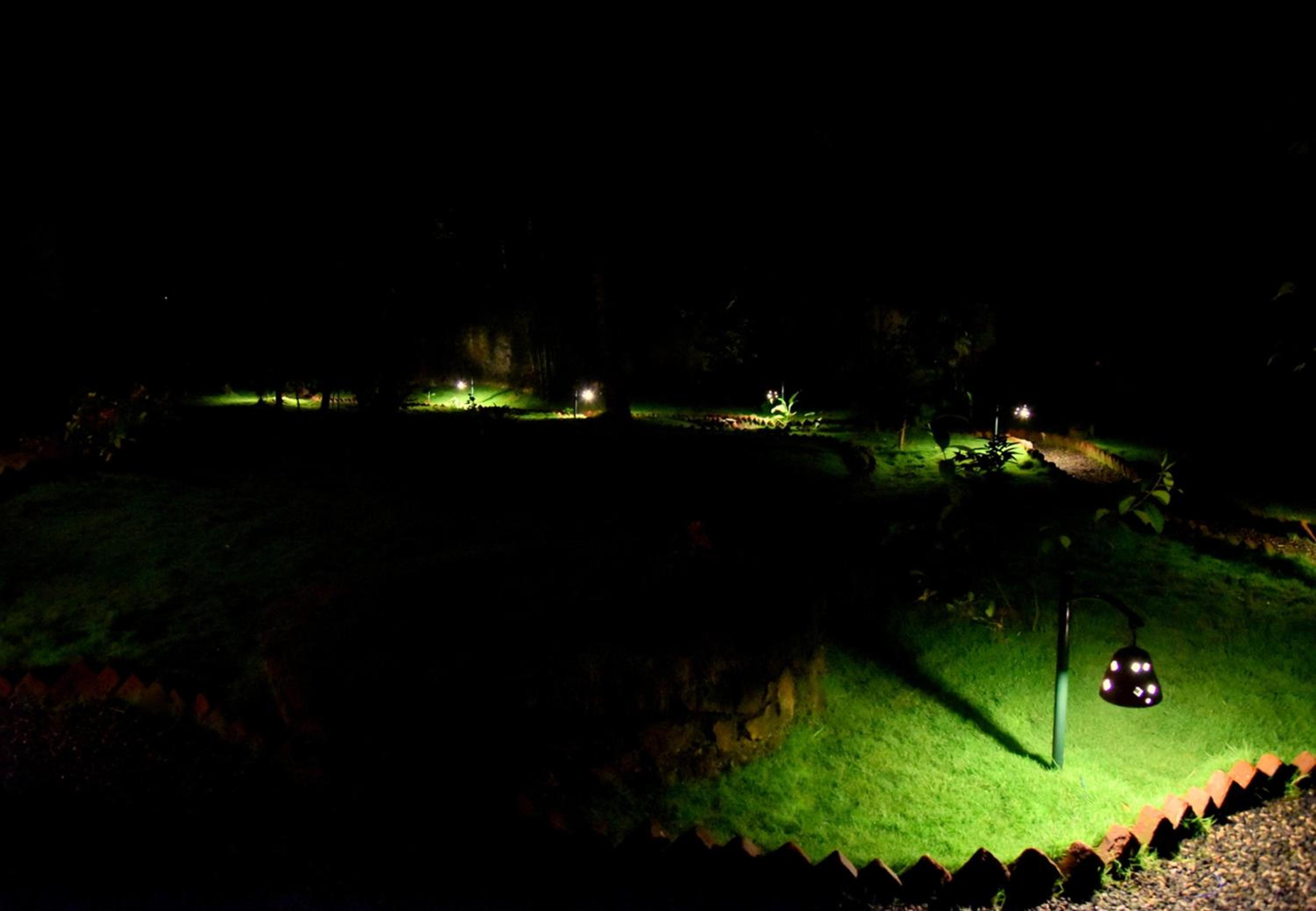 Thekkady Vacations - Green View - Property Image 3