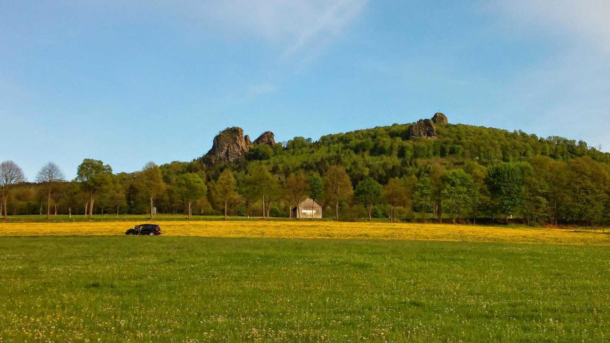 Haus Waldesruh