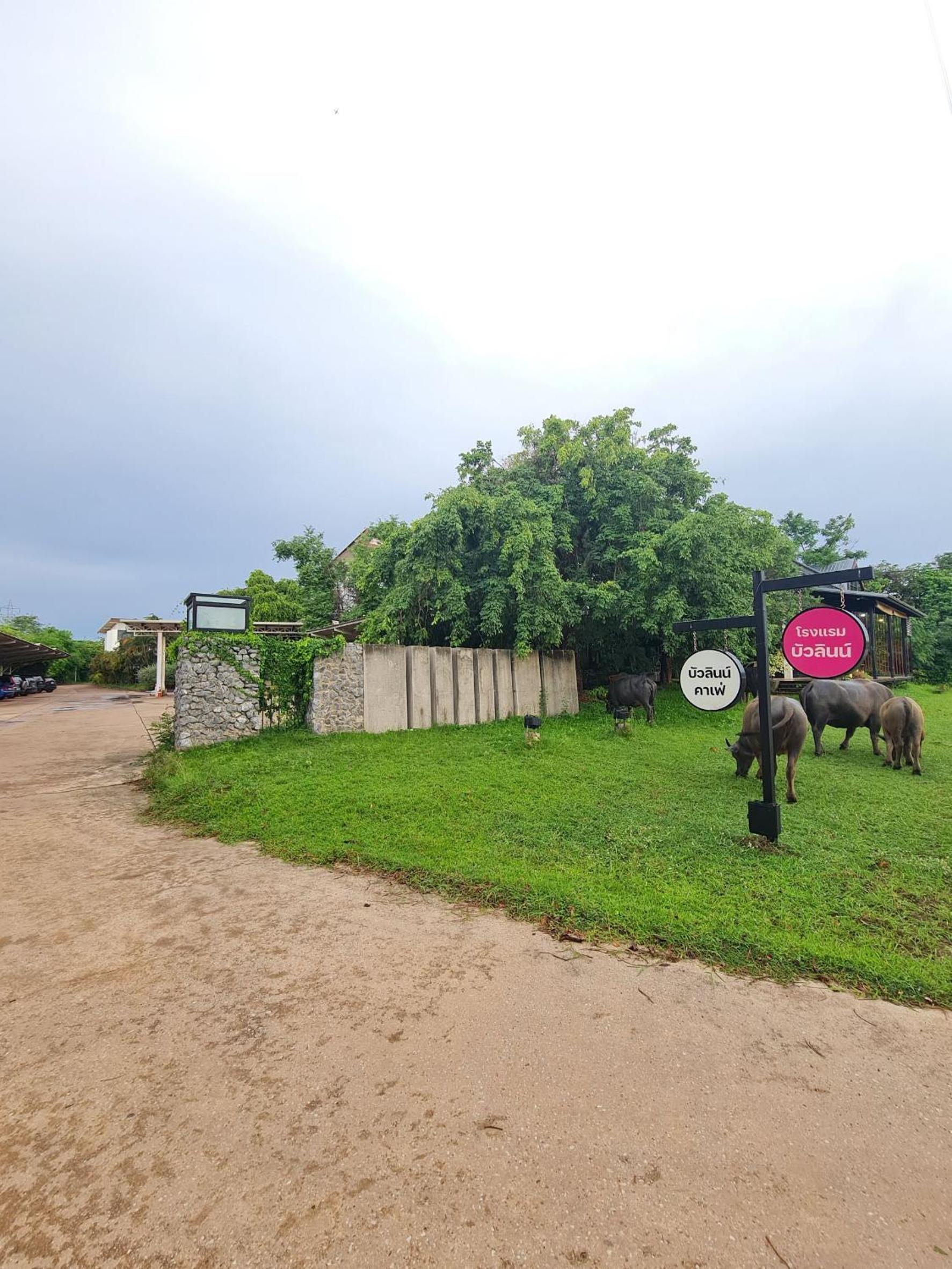 Bualinn Resort