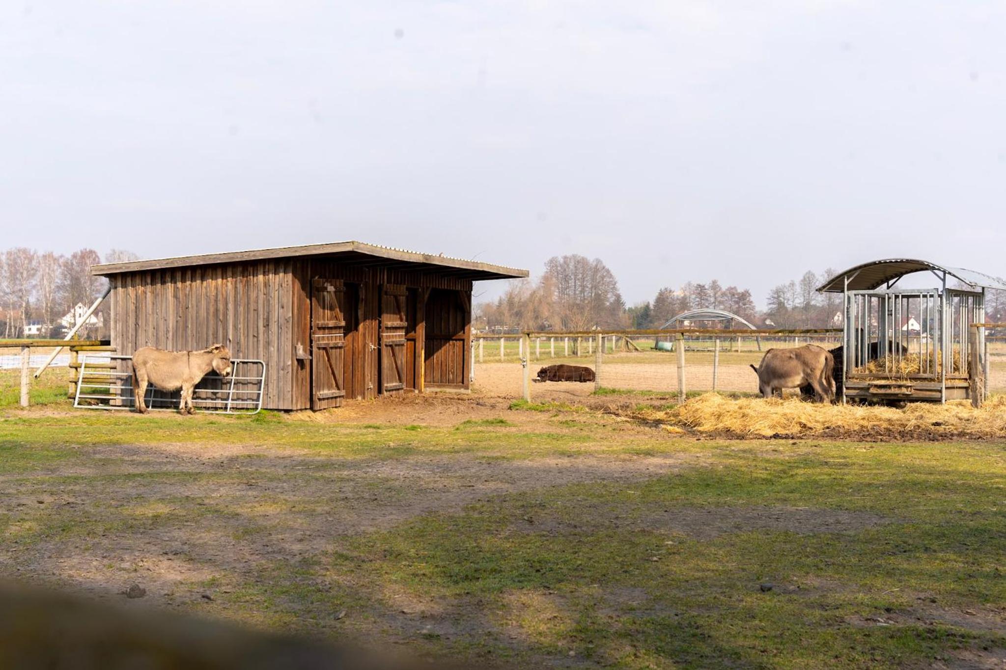 LANDHAUS by Comfort Housing - up to 7 guests