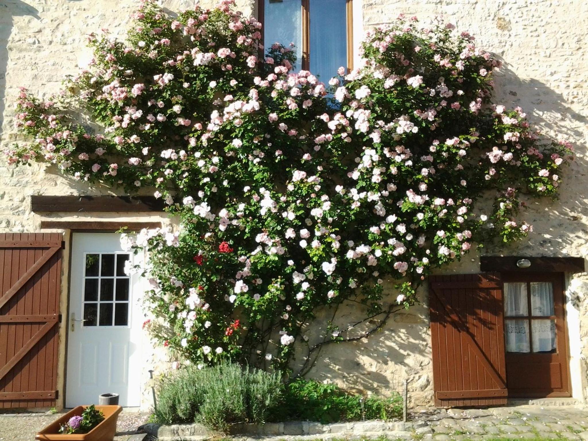 Photo 48