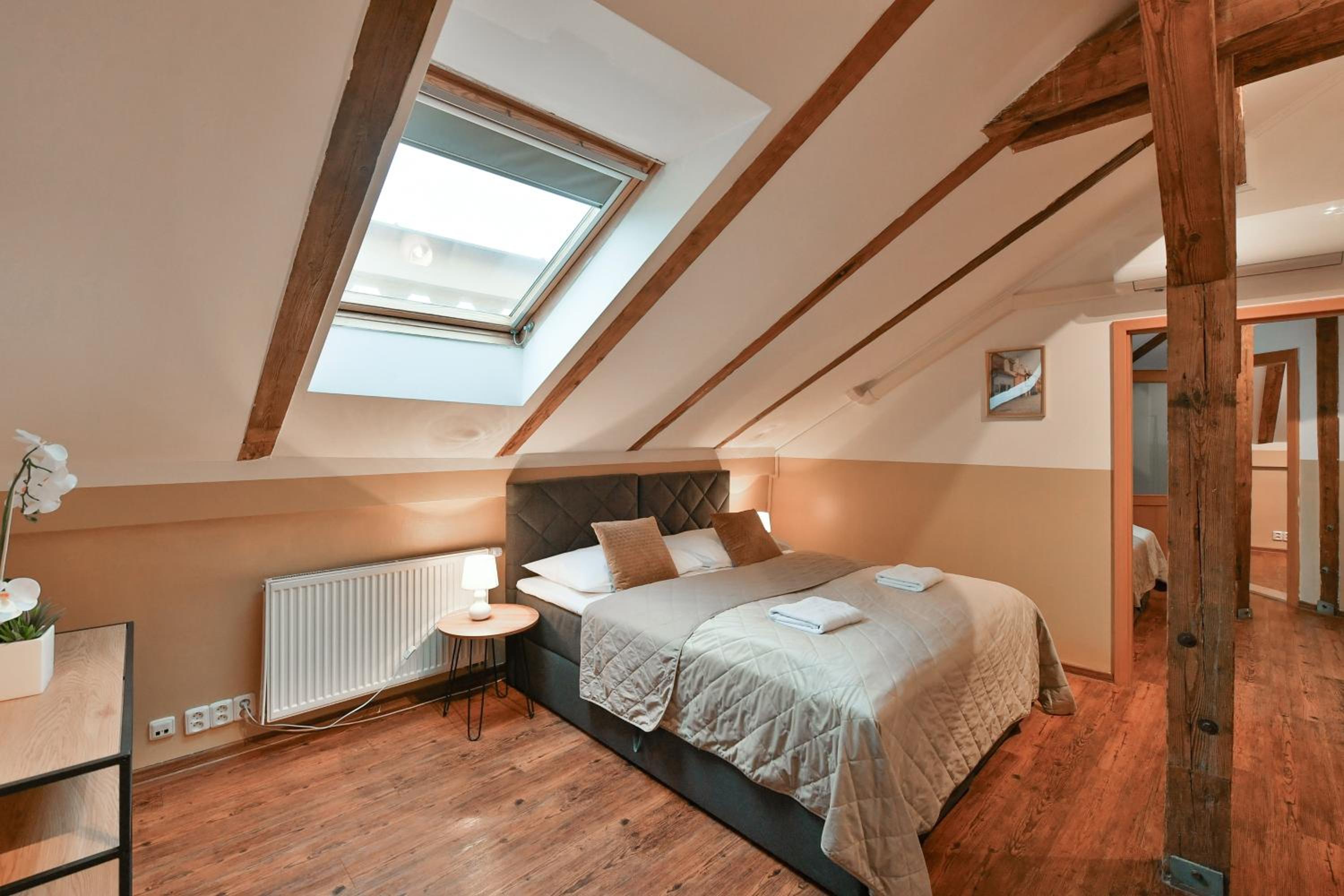 Amazing Charles Bridge Apartment