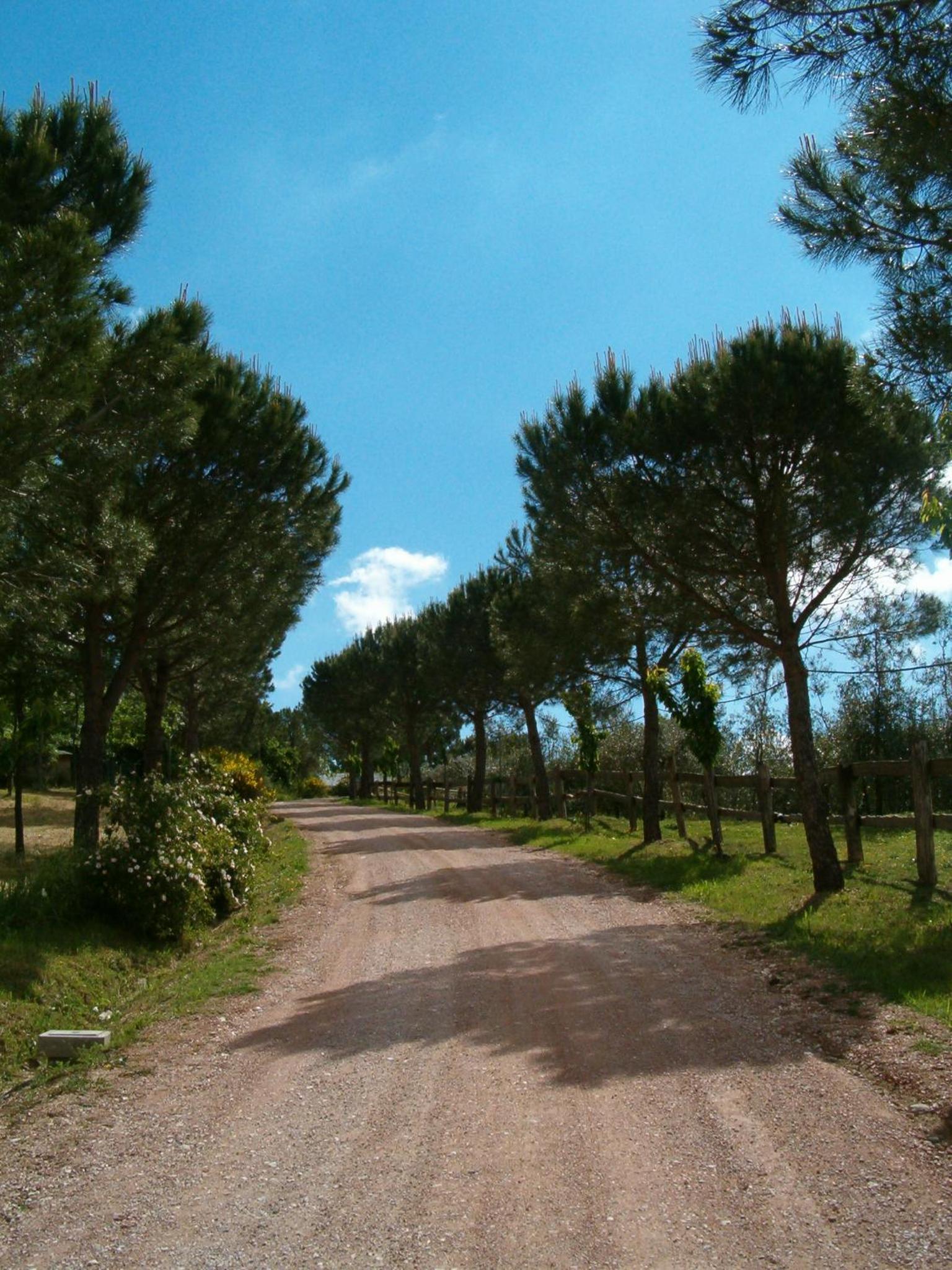 Agriturismo La Collina dei Ciliegi
