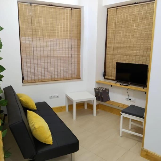 Estudio Mota