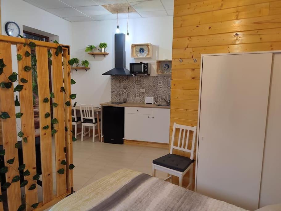 Estudio Mota