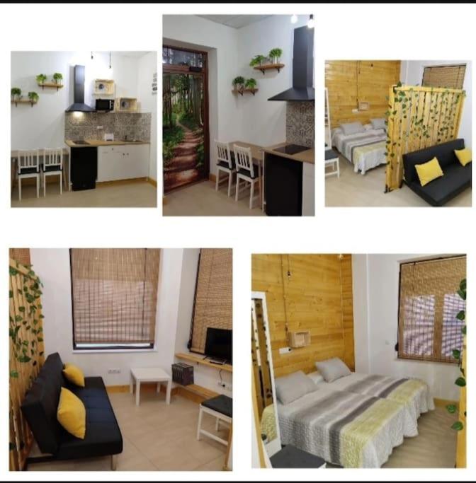 Estudio Mota